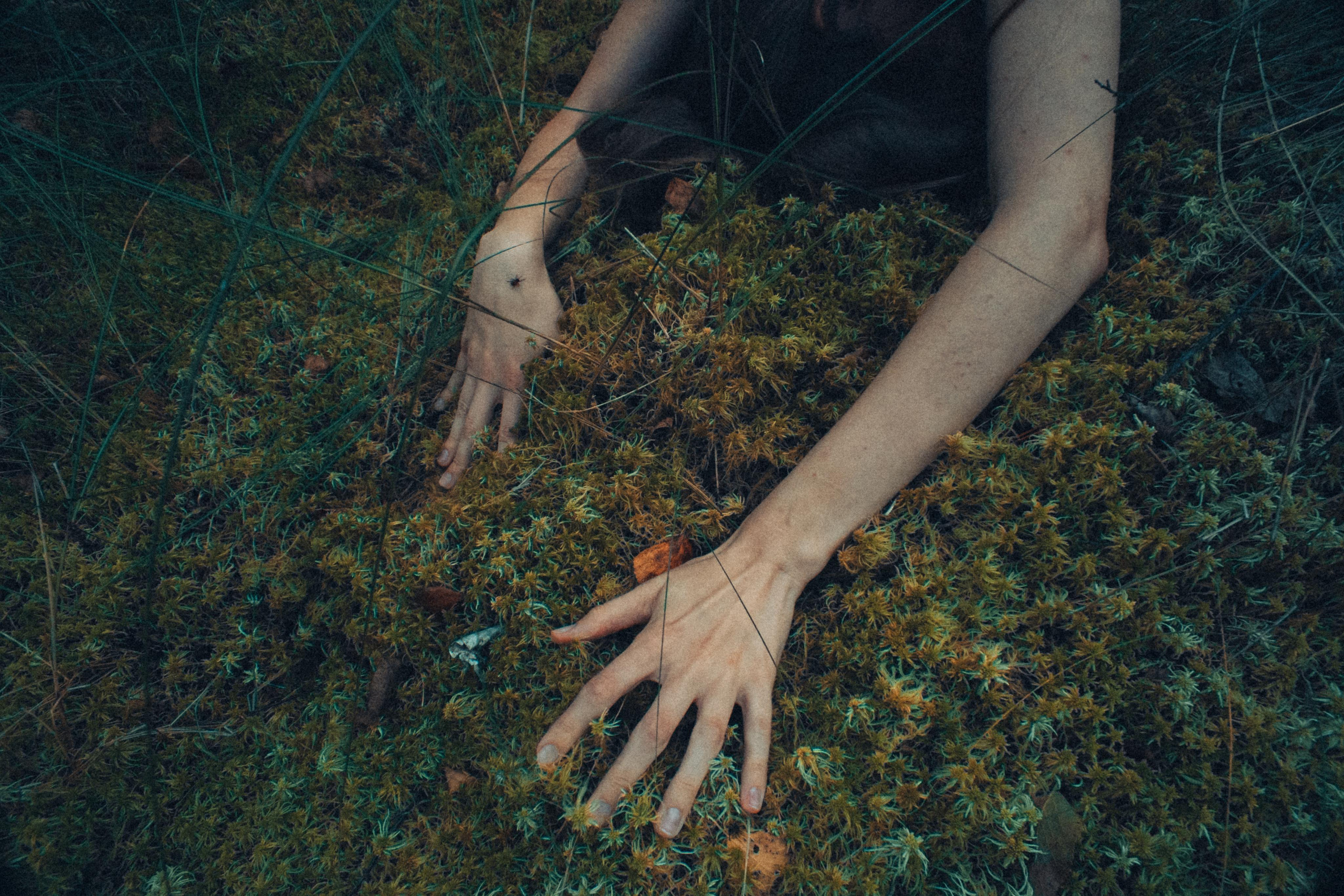 Поглощает — позволь и будь. Алиса Аницкая