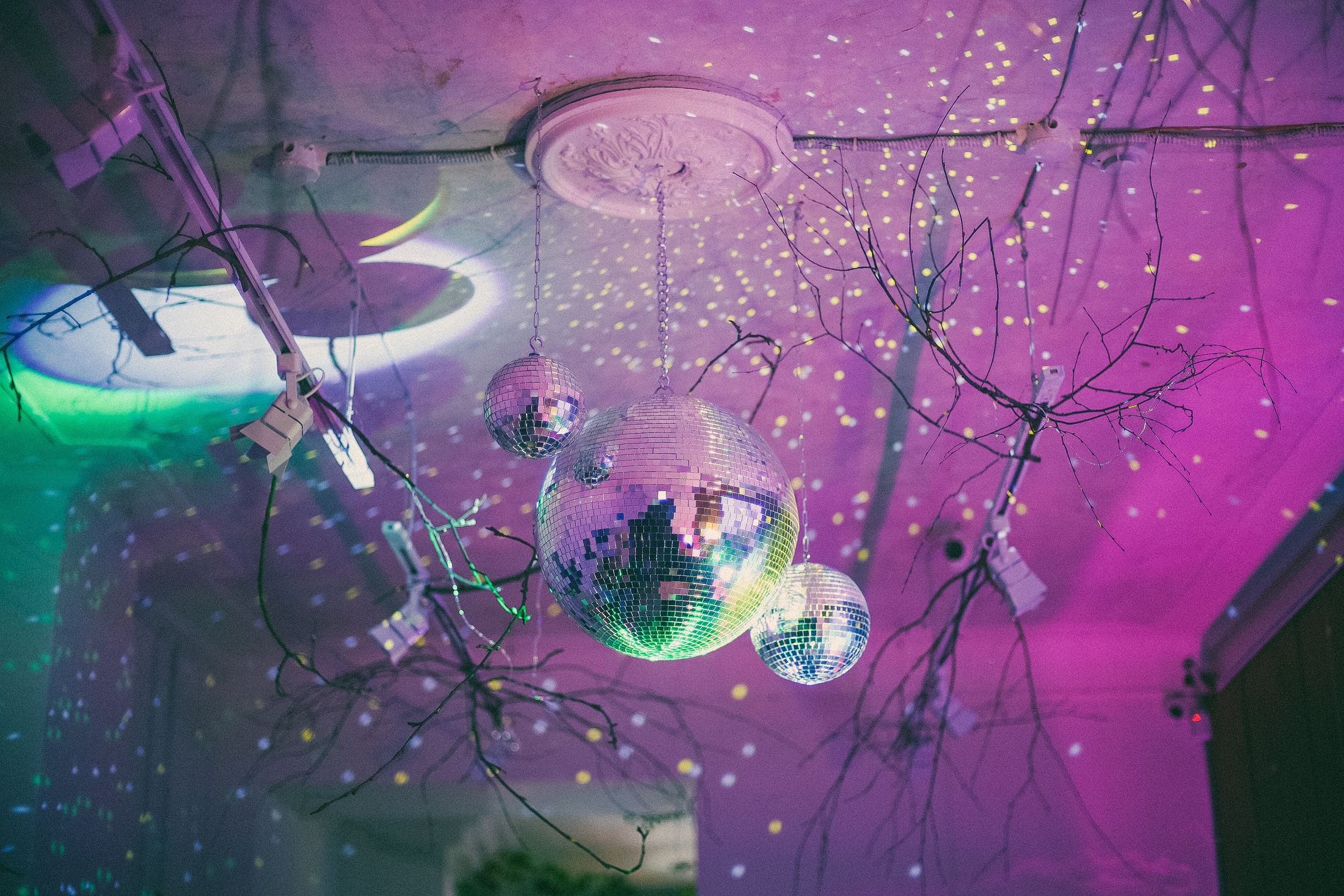 выставка Алисы Аницкой  Смоленск фотограф Кафе Юность Лес природа фотографии портретная съёмка Смоленск