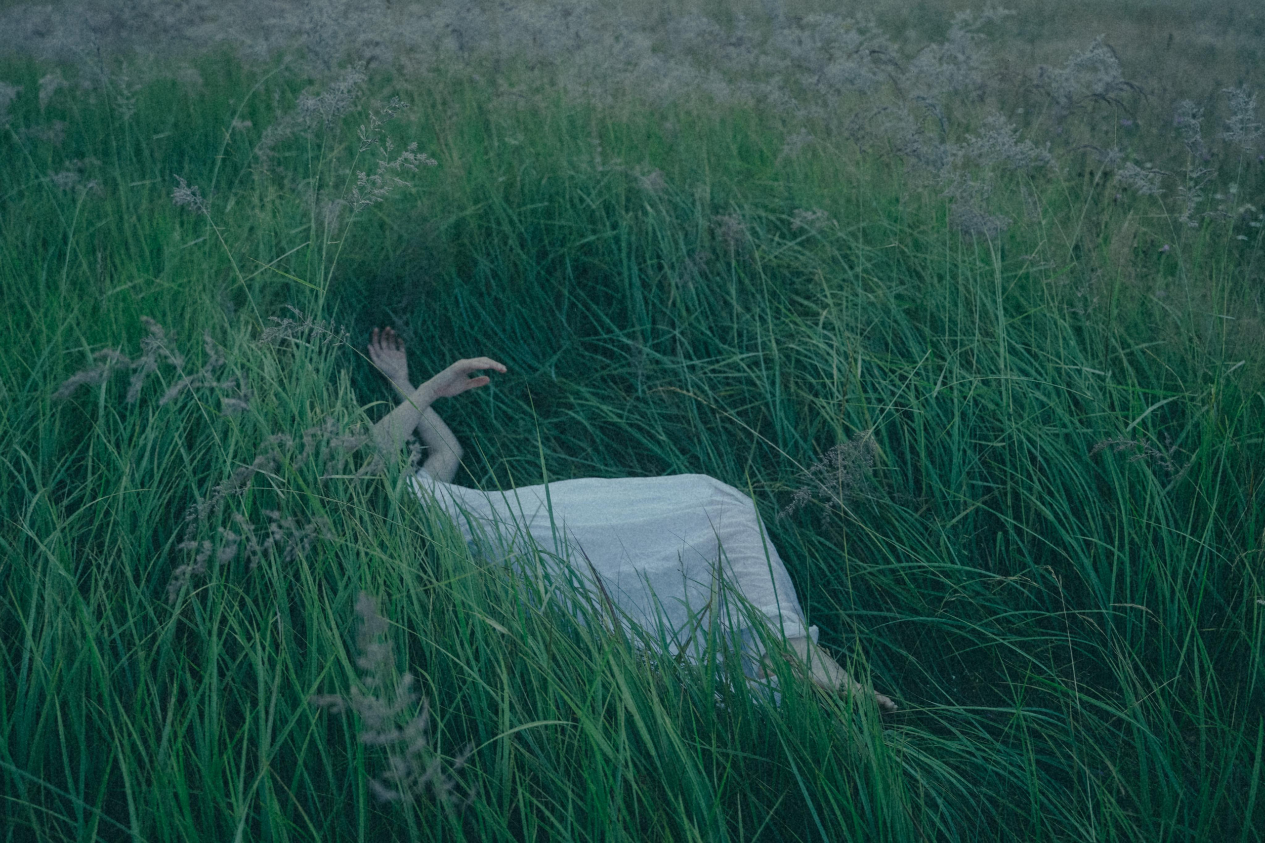 Исчезновение. Алиса Аницкая