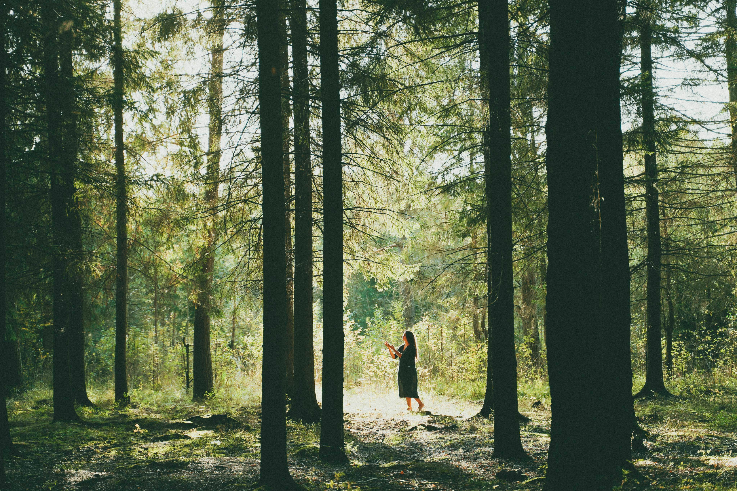 Чувствовать землю. Алиса Аницкая