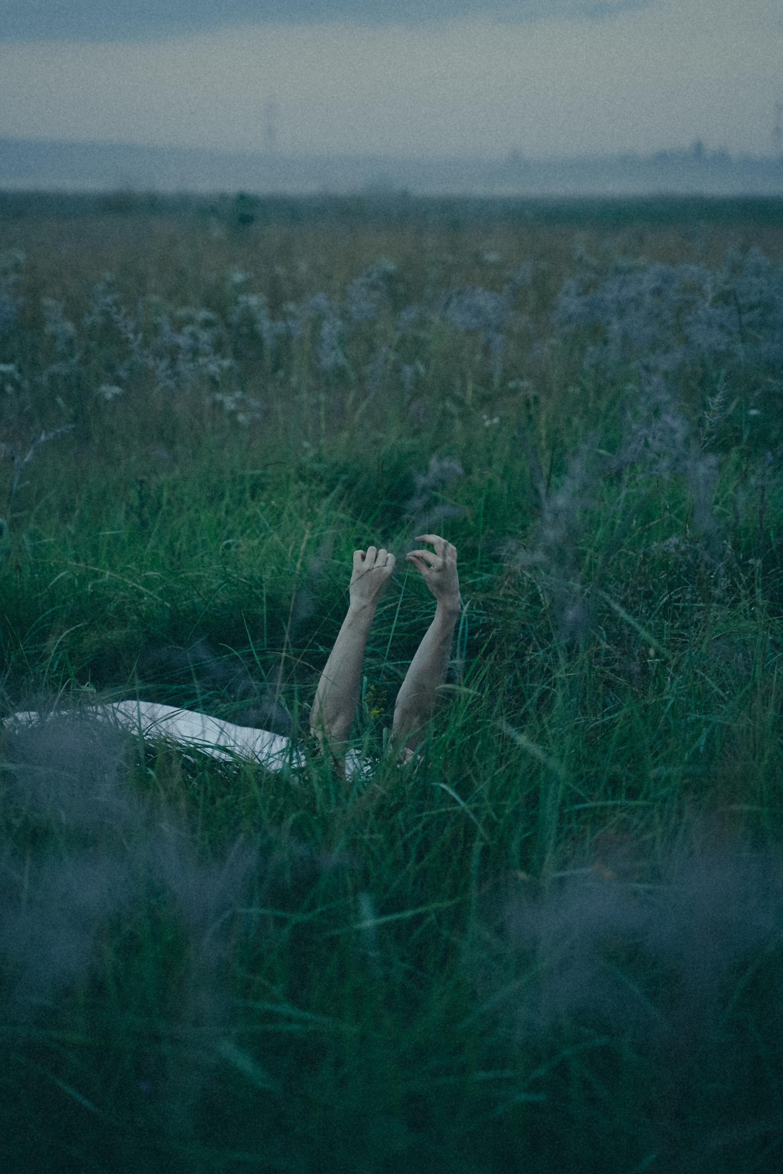 Исчезновение. Алиса Аницкая