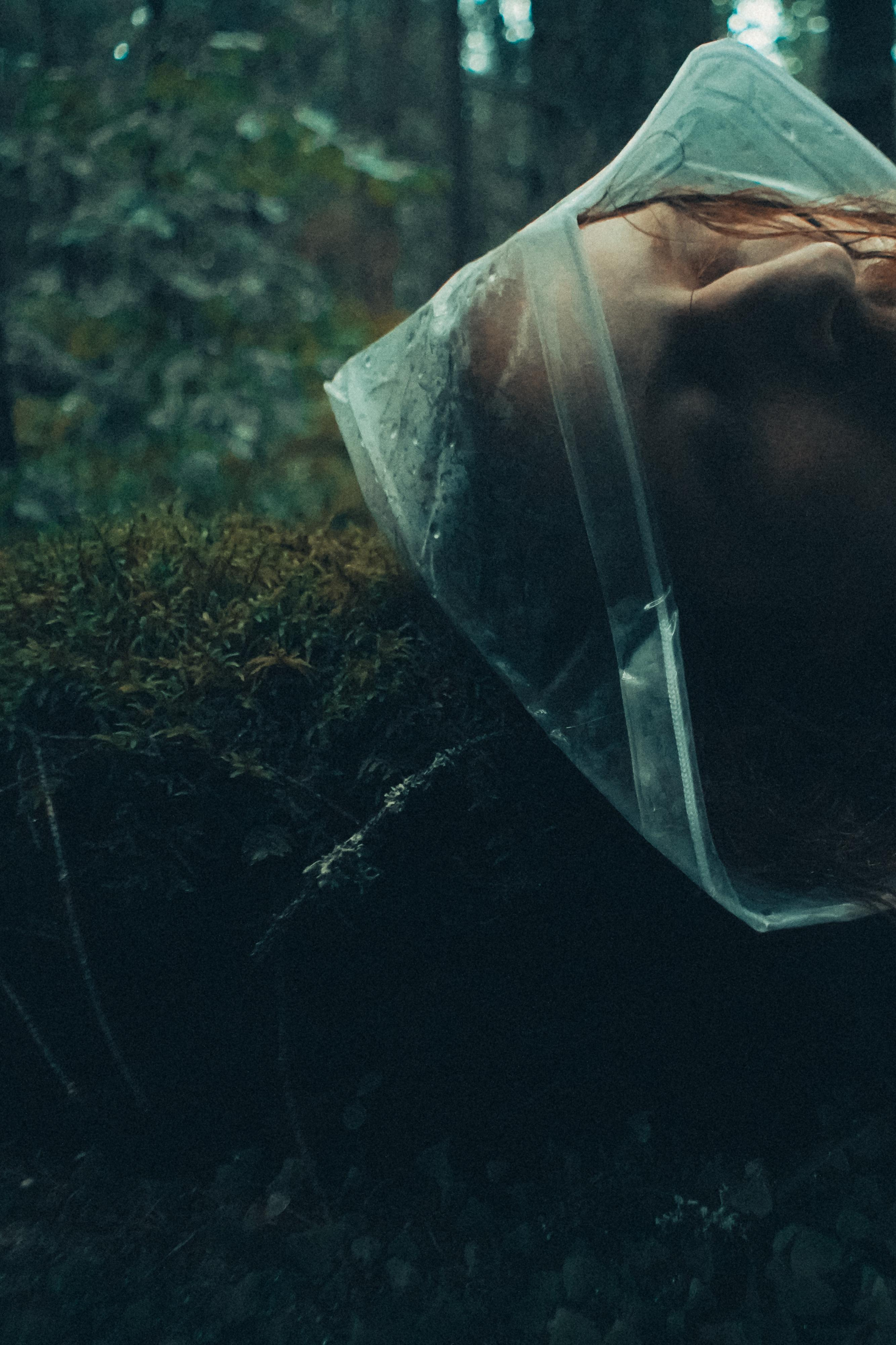 Тишина. Алиса Аницкая