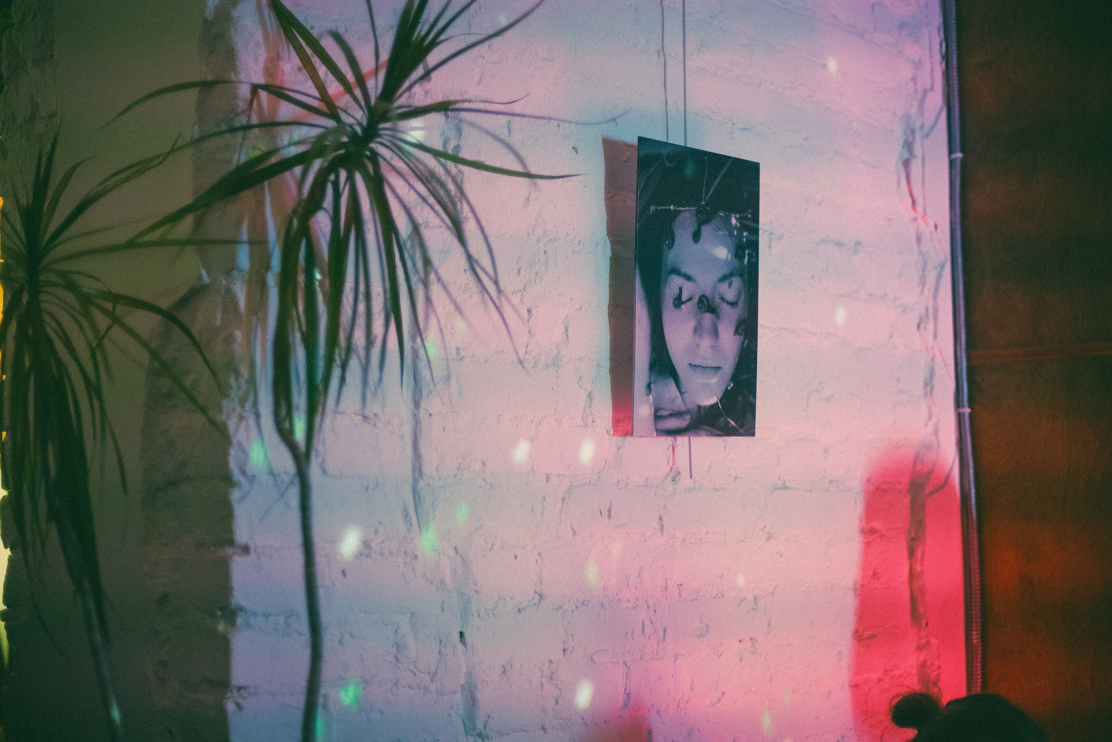 Мираж. сон. лес. Алиса Аницкая