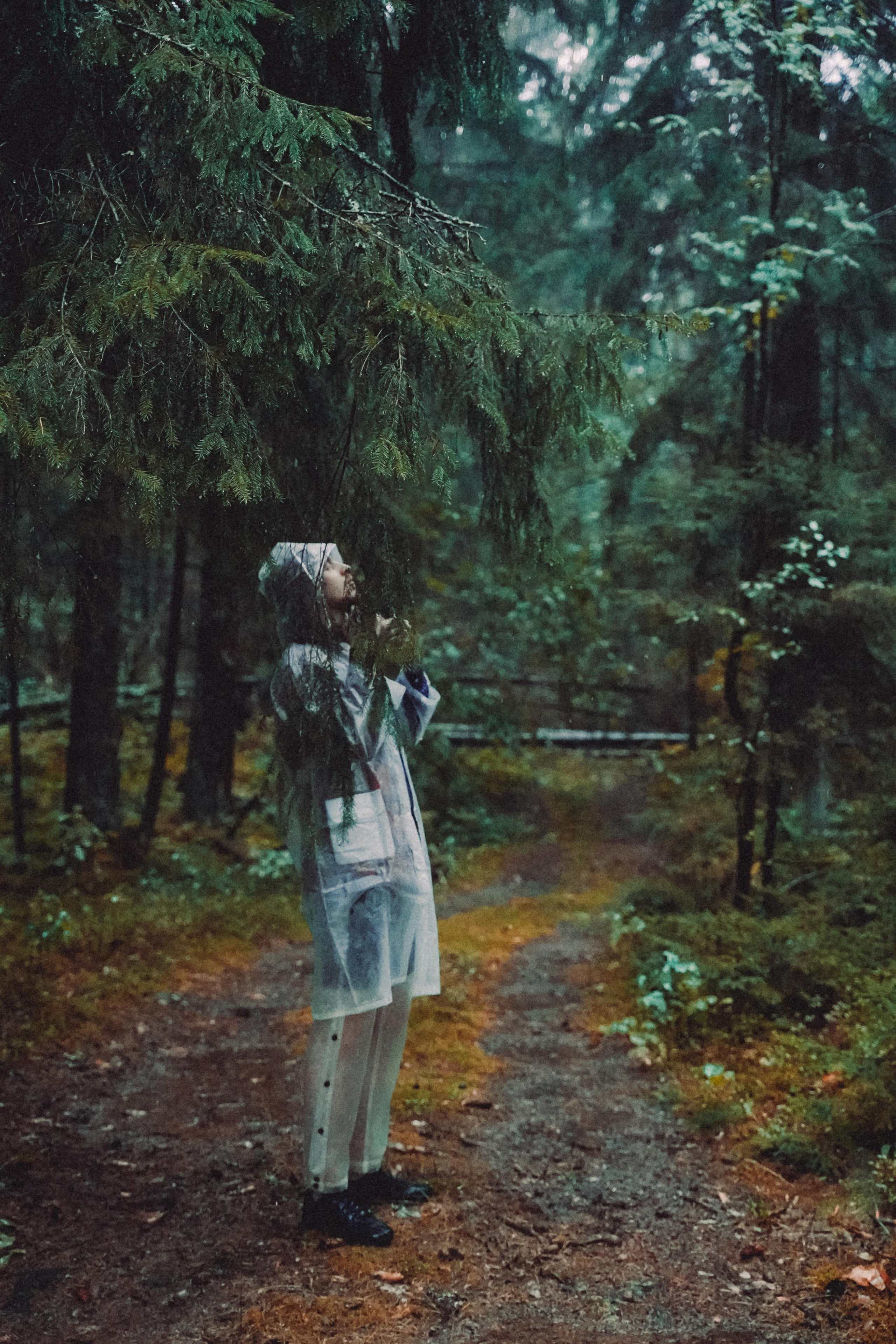 Тишина. Алиса Аницкая