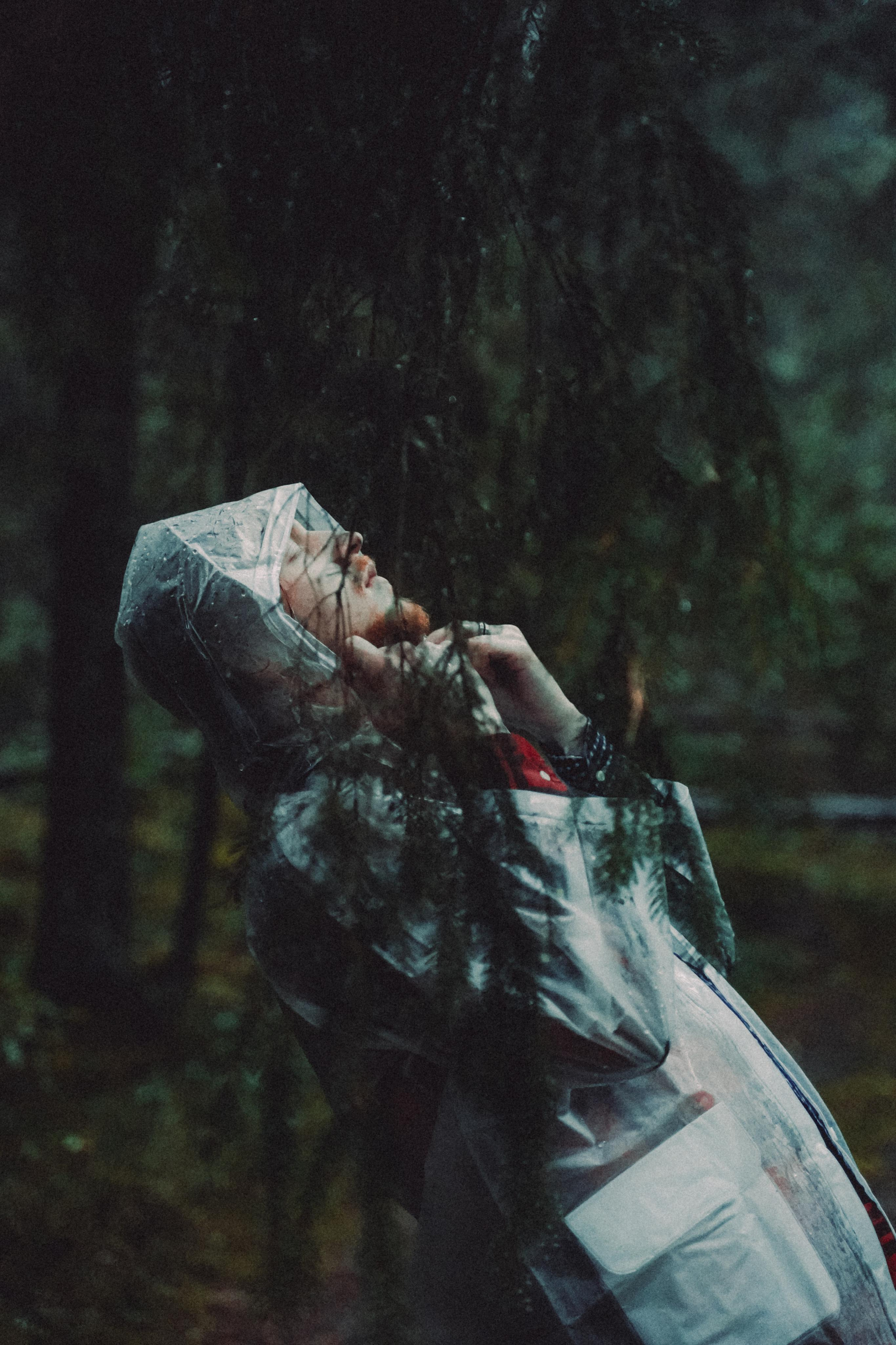 Тишина. Алиса Аницкая