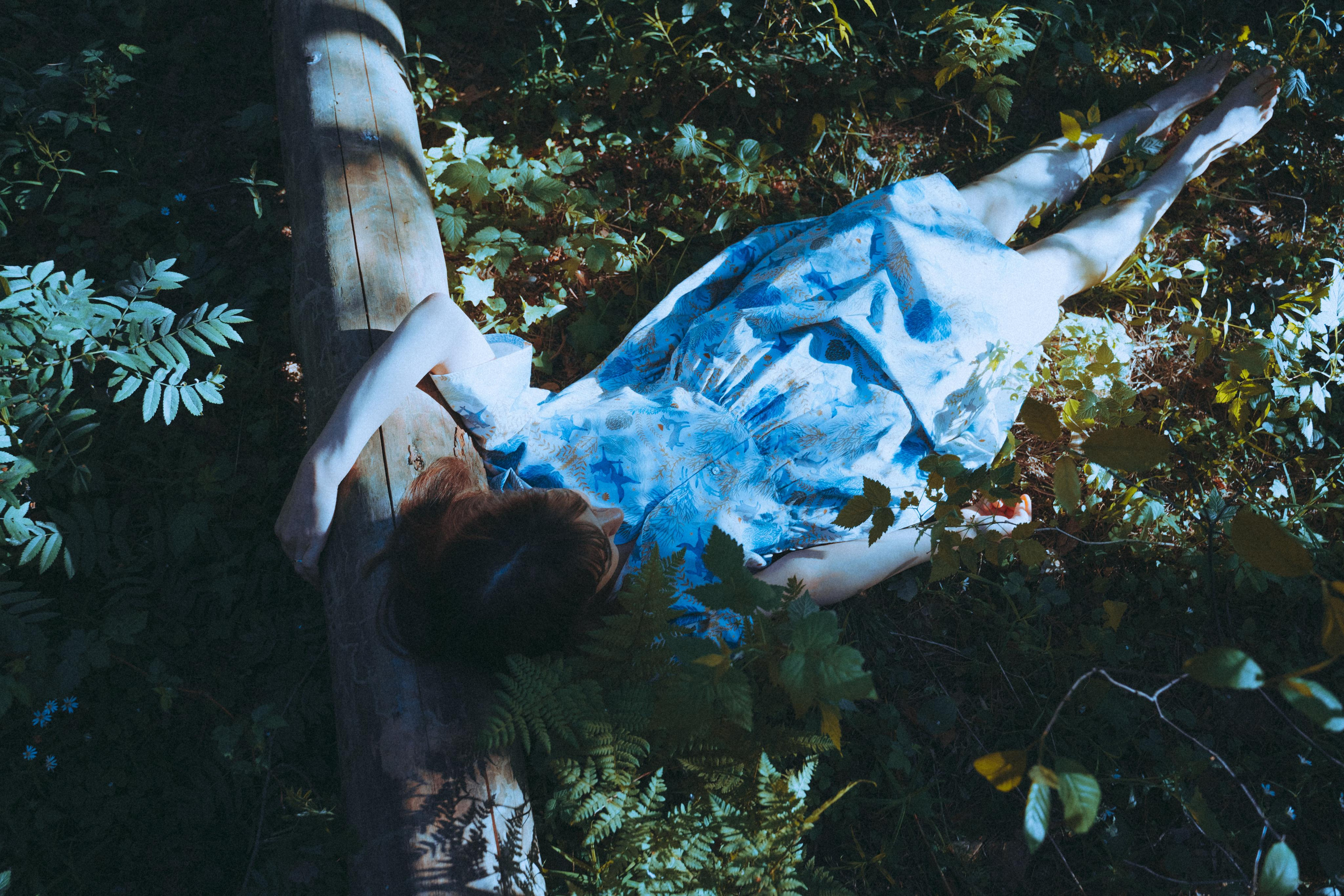 О птицах сказки. Алиса Аницкая