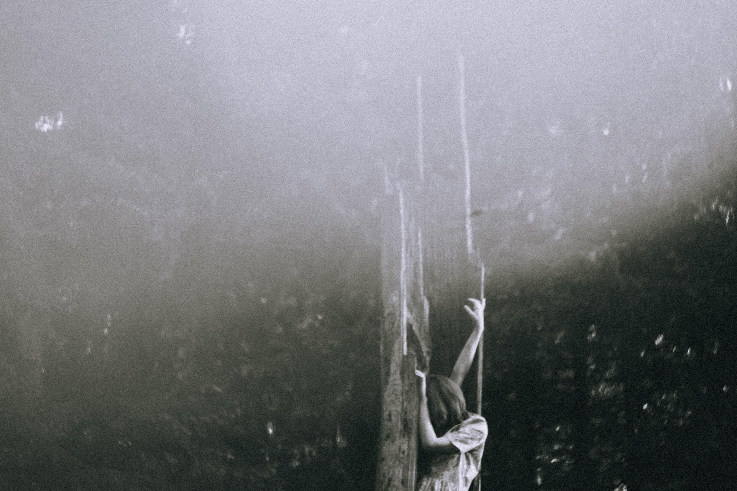 О птицах сказки. Алиса Аницкая