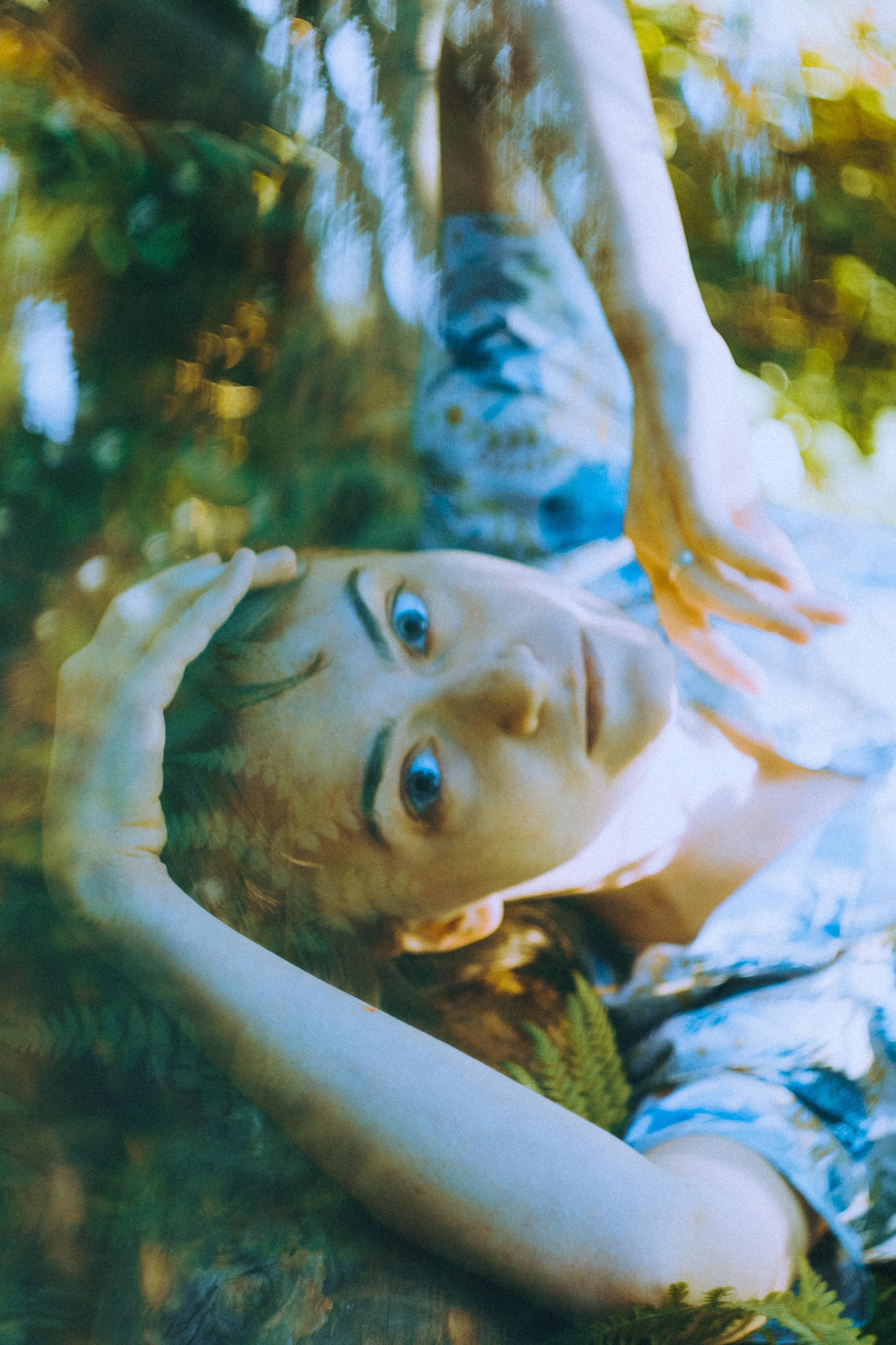 О птицах сказки. Алиса Аницкая