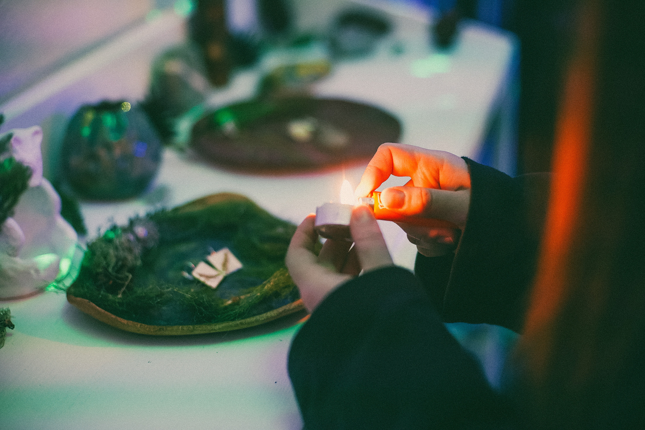 выставка Алисы Аницкой  Смоленск фотограф Кафе Юность Лес природа фотографии портретная съёмка Смоленск