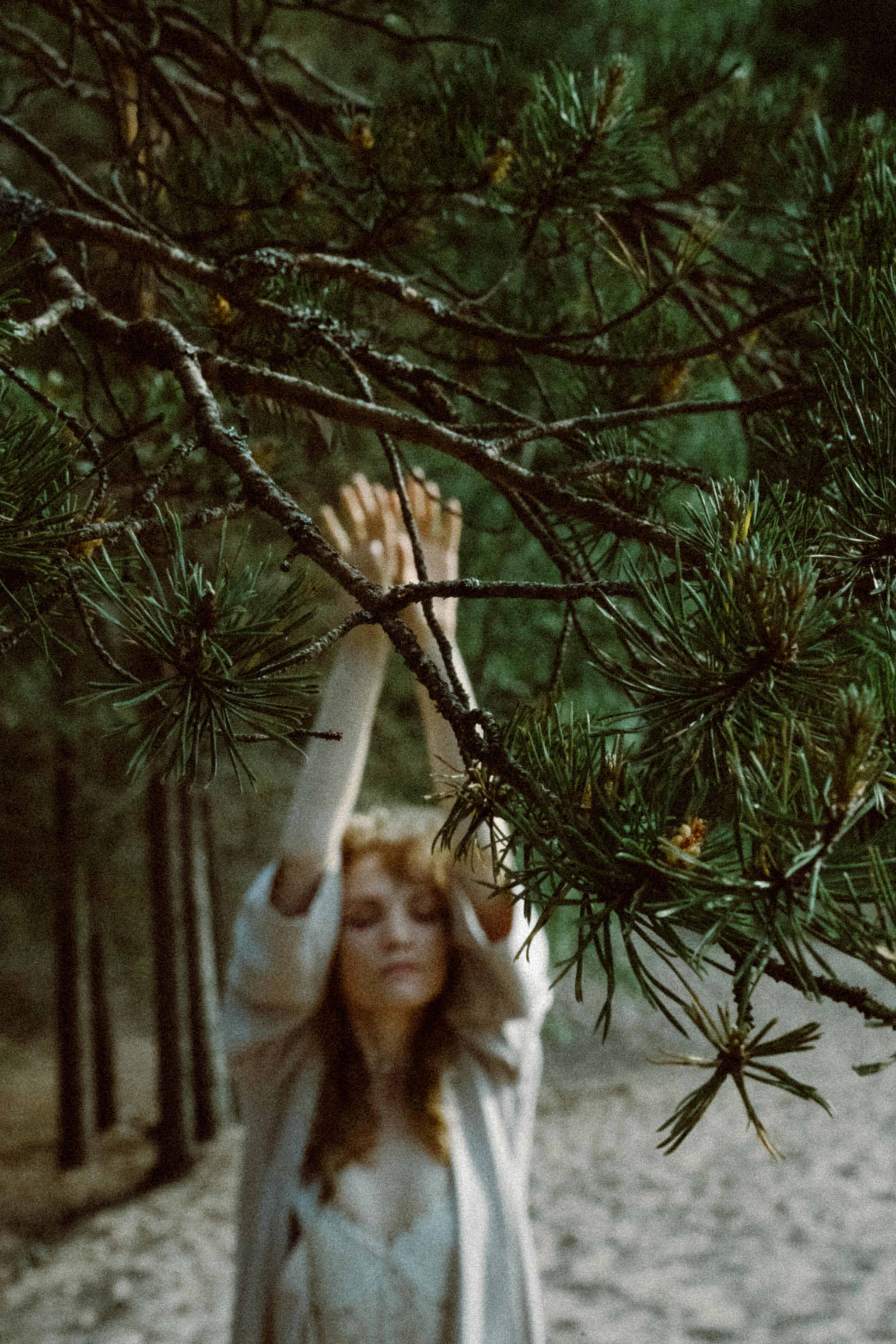 Прилетит и заберёт. Алиса Аницкая