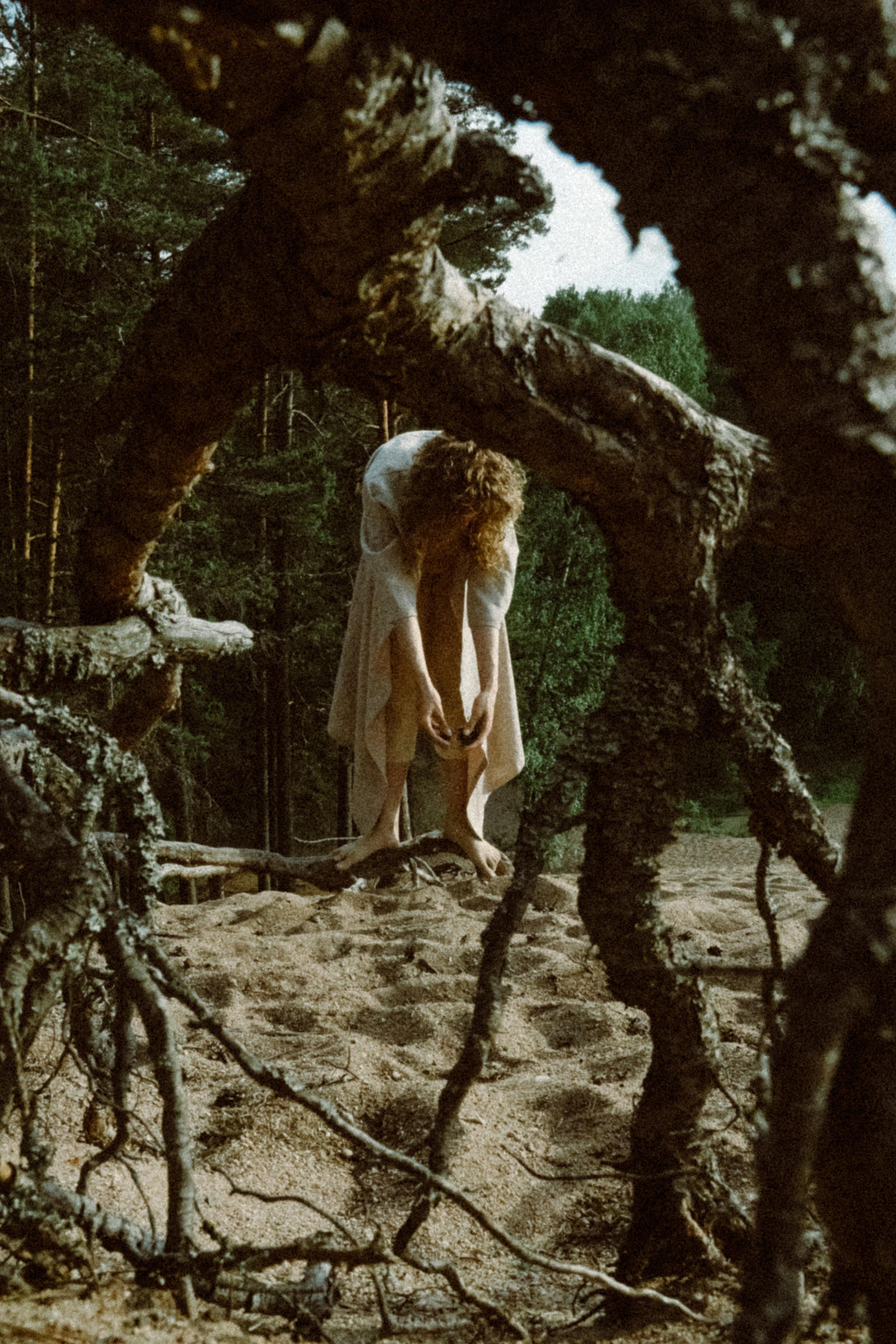 Прилетит и заберёт. Алиса Аницкая