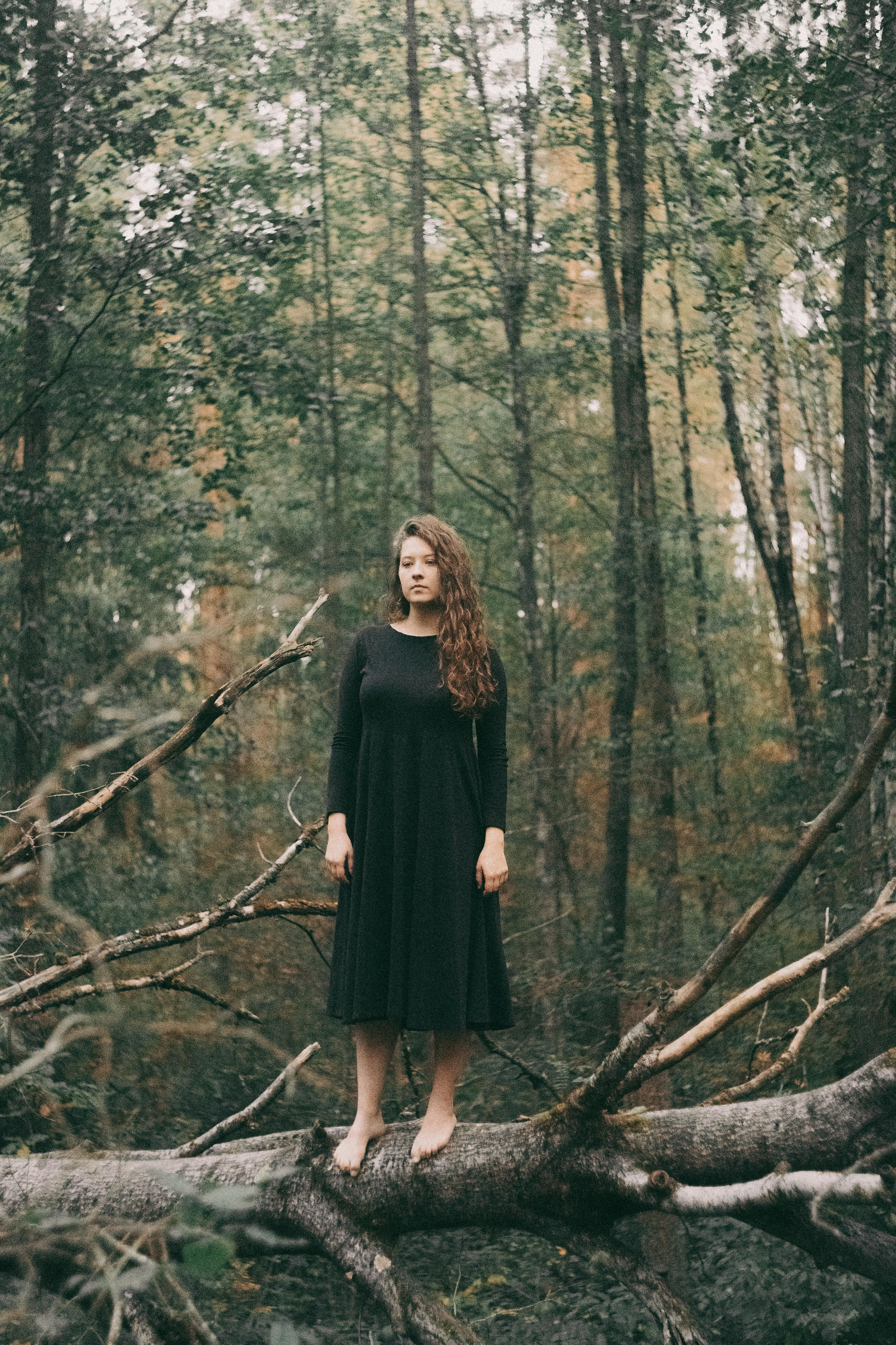 Над соснами. Алиса Аницкая