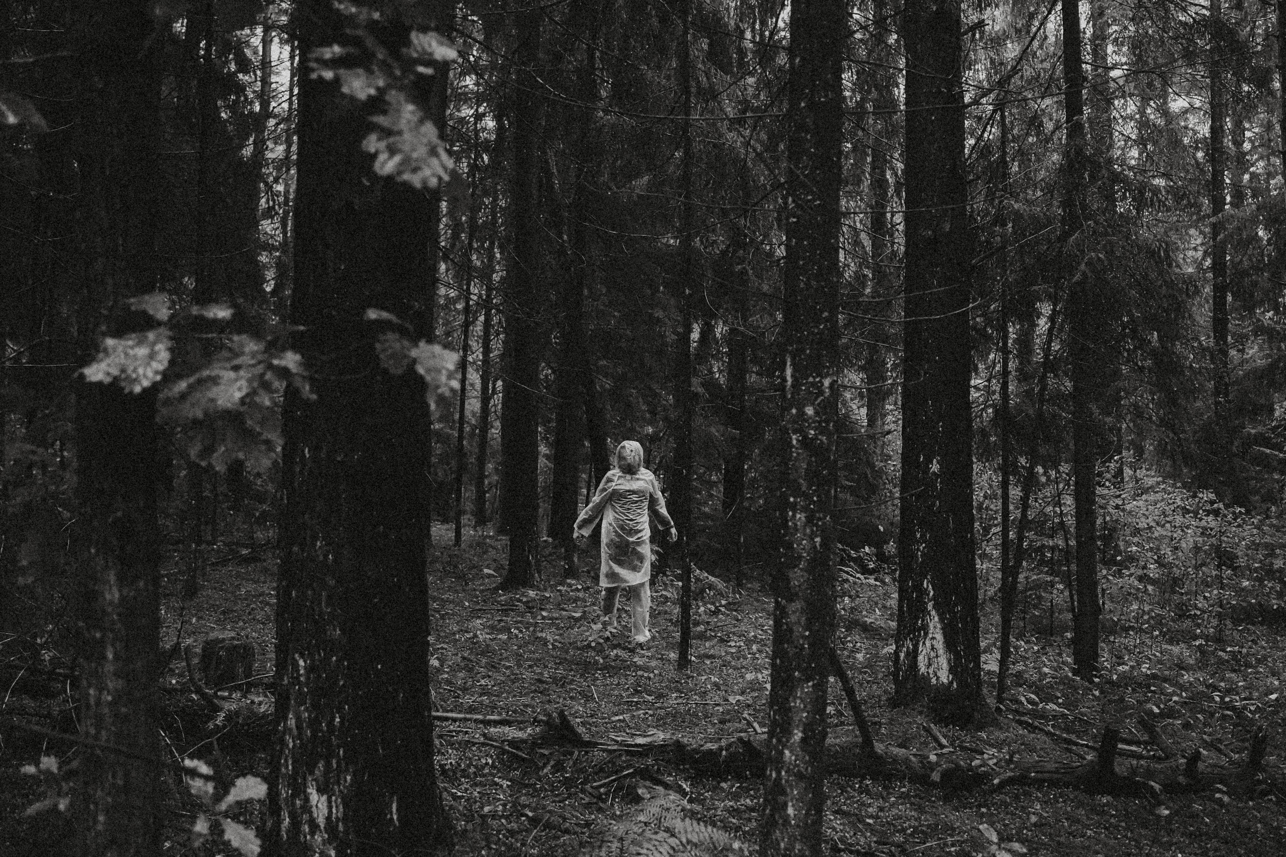 Тишина. Алиса Аницкая