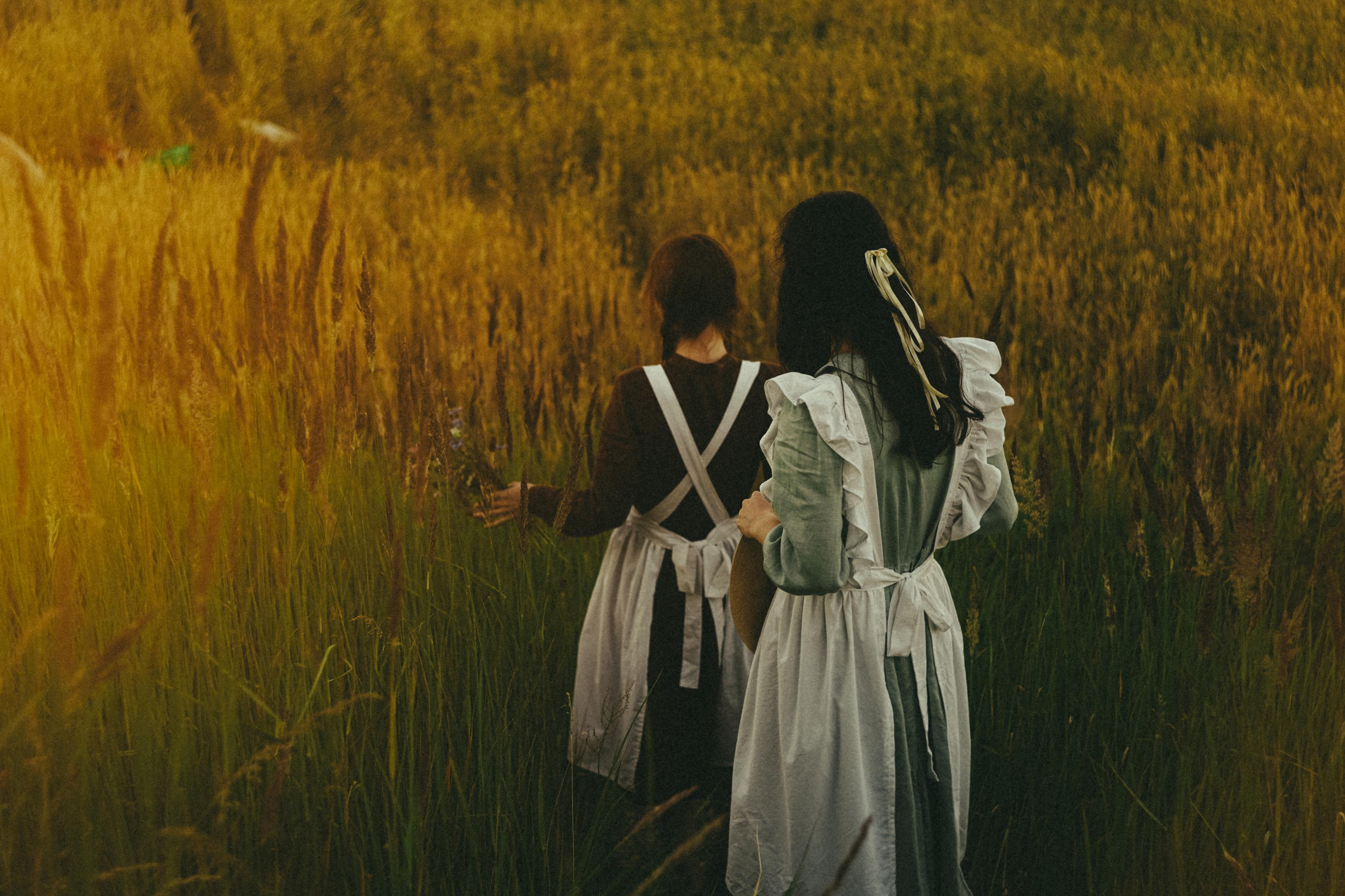 Из зелёных крыш. Алиса Аницкая