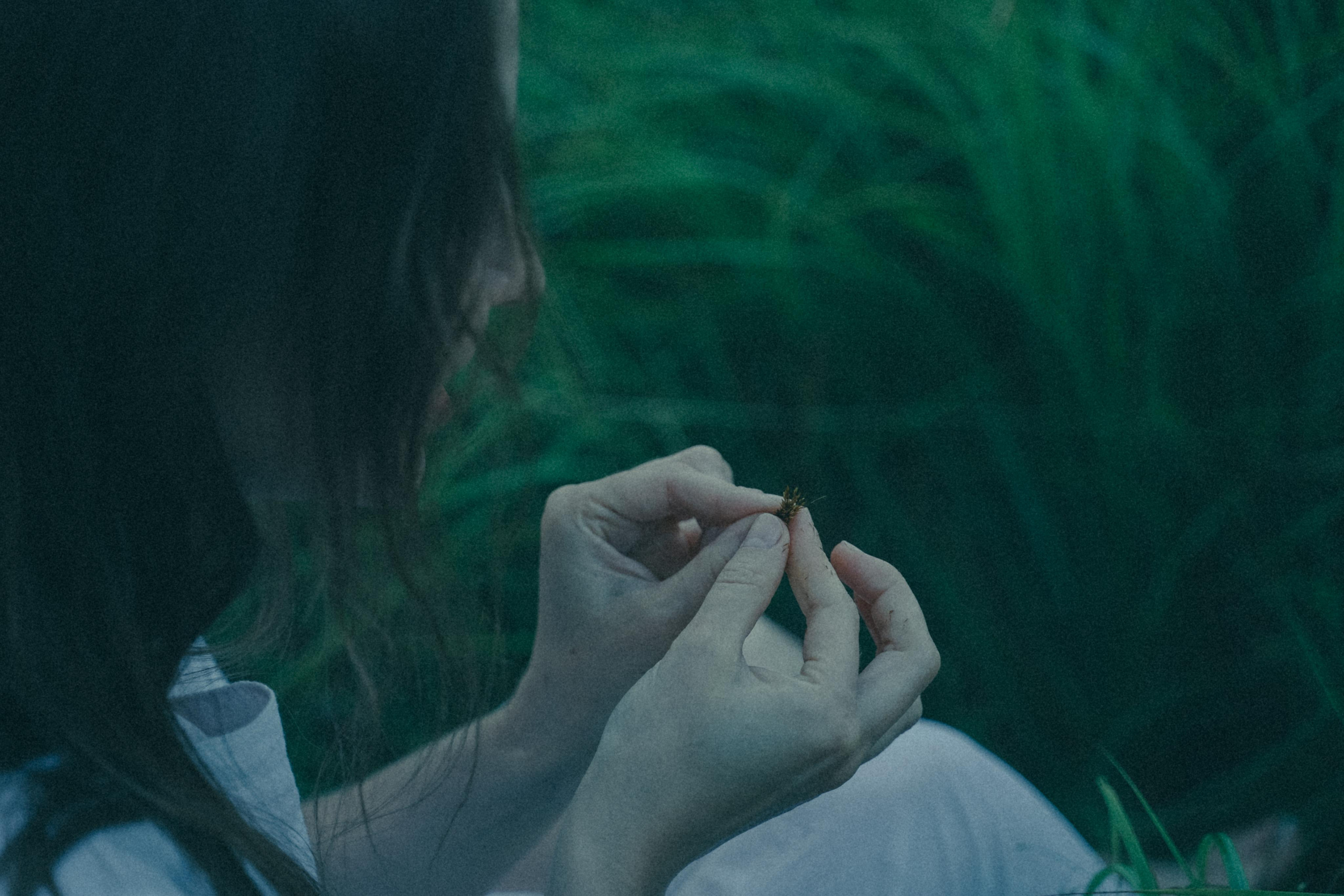 Исчезновение. Алиса Аницкая