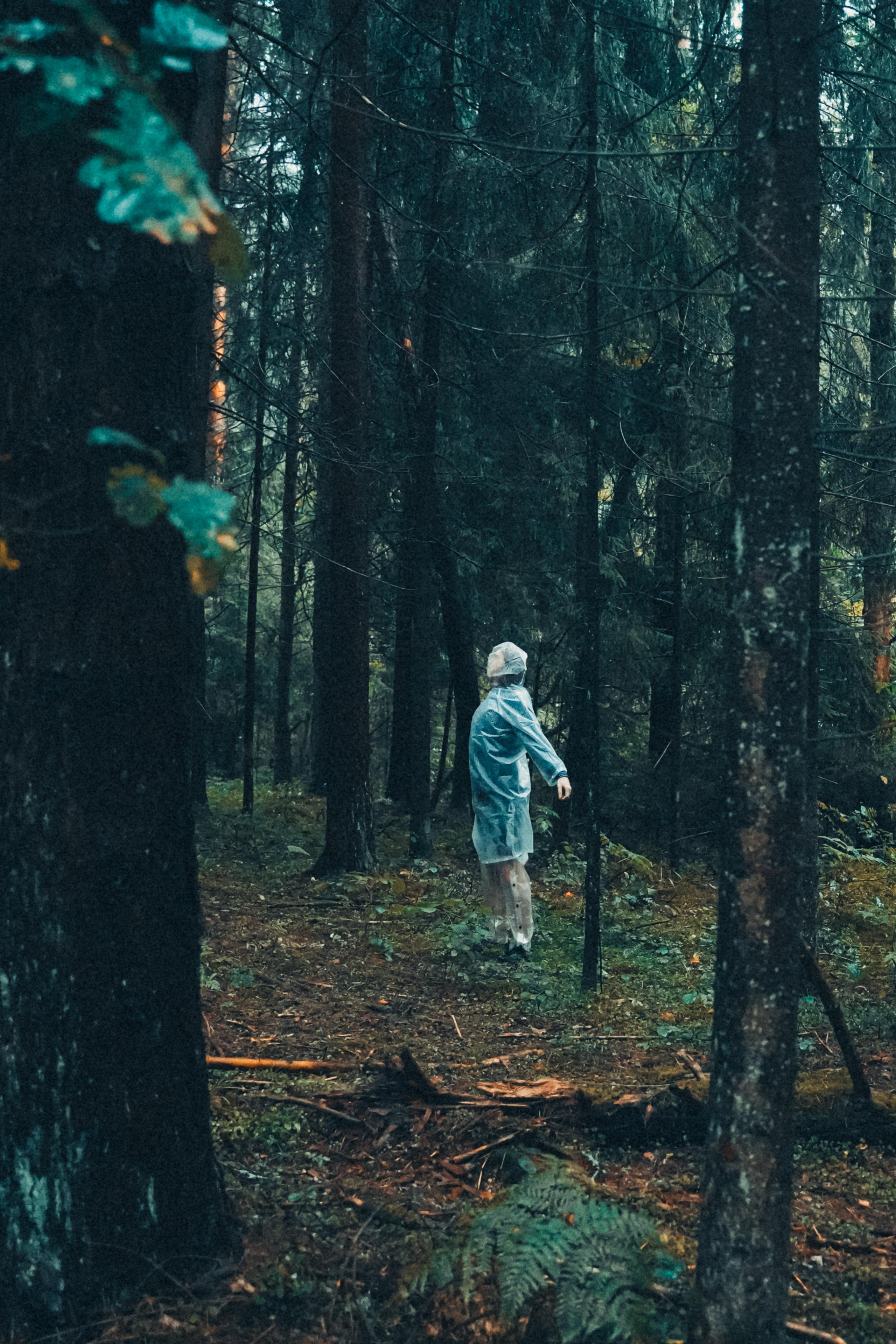Тишина. Алиса Аницкая