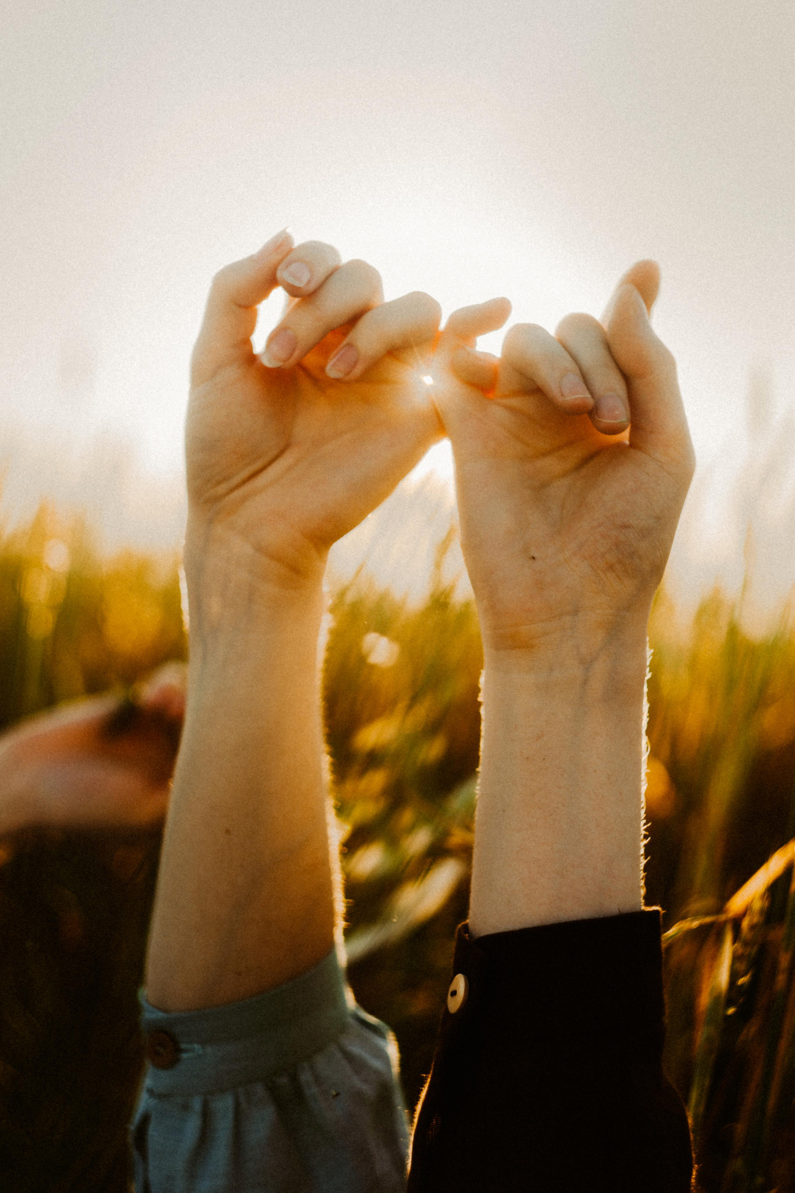 Из зелёных крыш. Алиса Аницкая