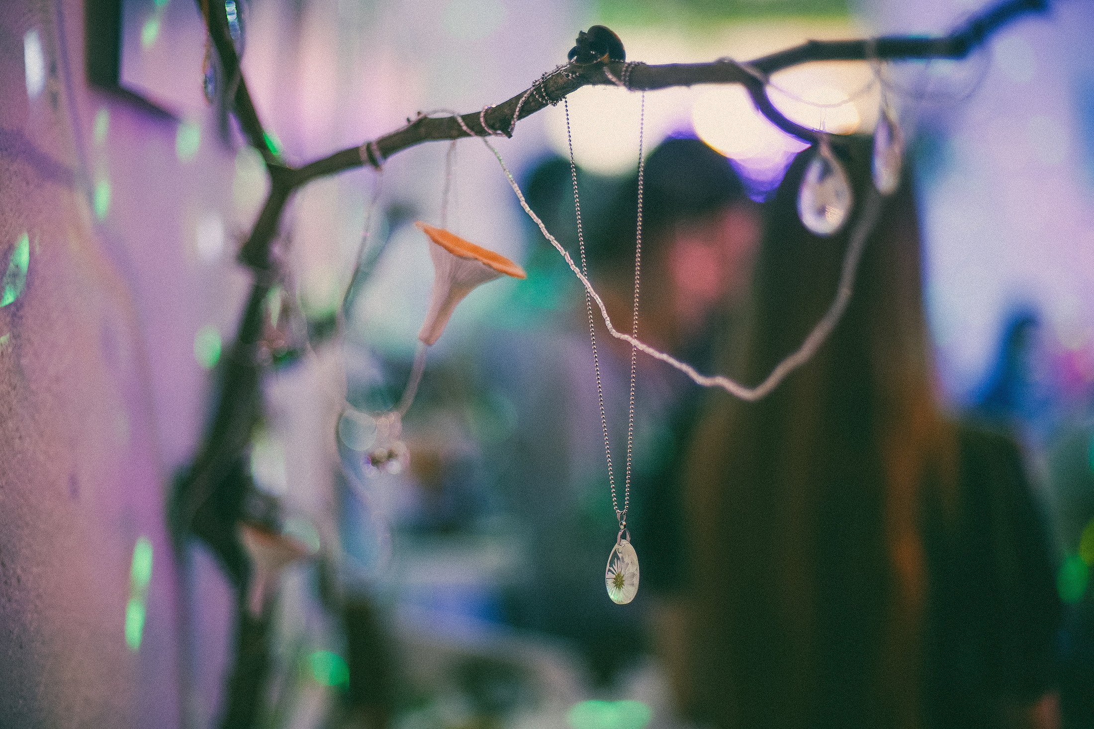 выставка Алисы Аницкой  Смоленск фотограф Кафе Юность Лес природа фотографии портретная съёмка Смоленск