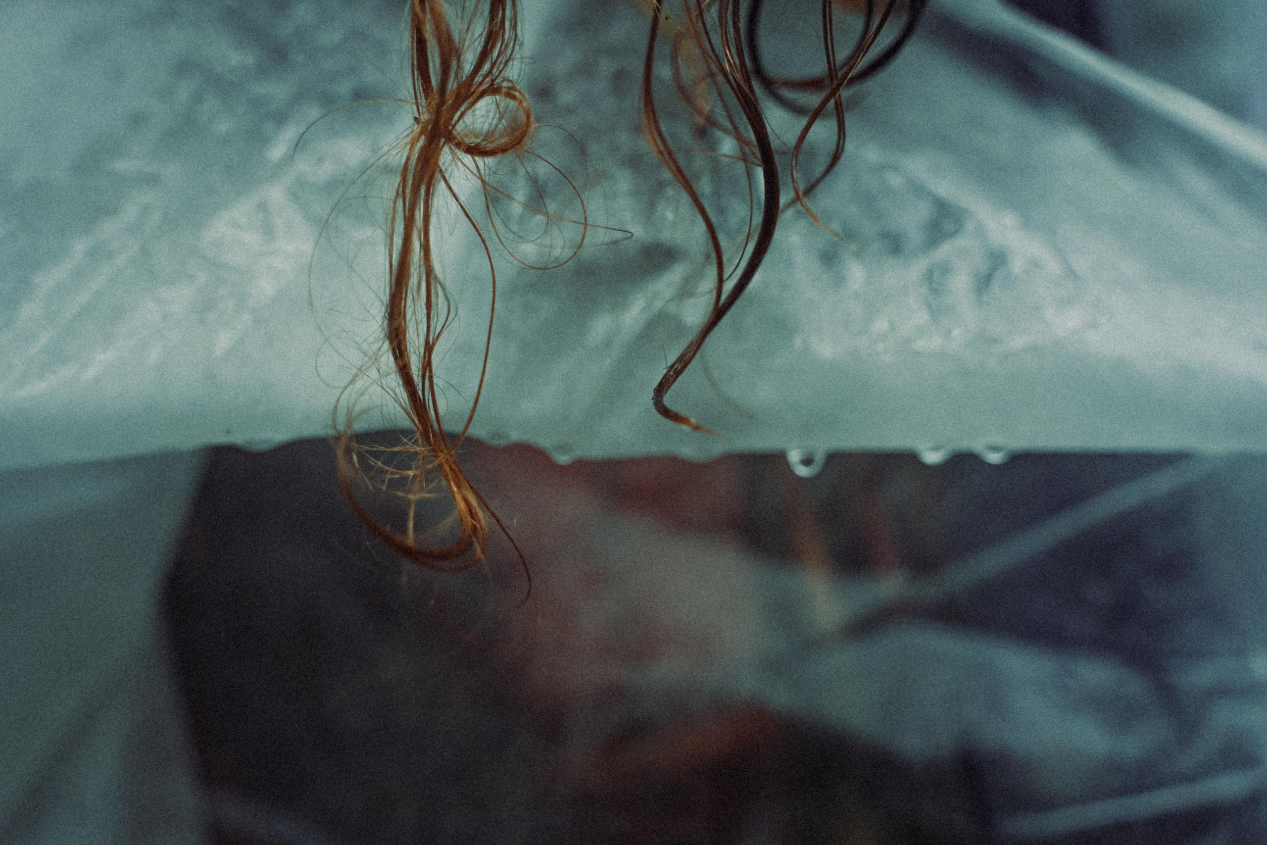 Тишина. Алиса Аницкая