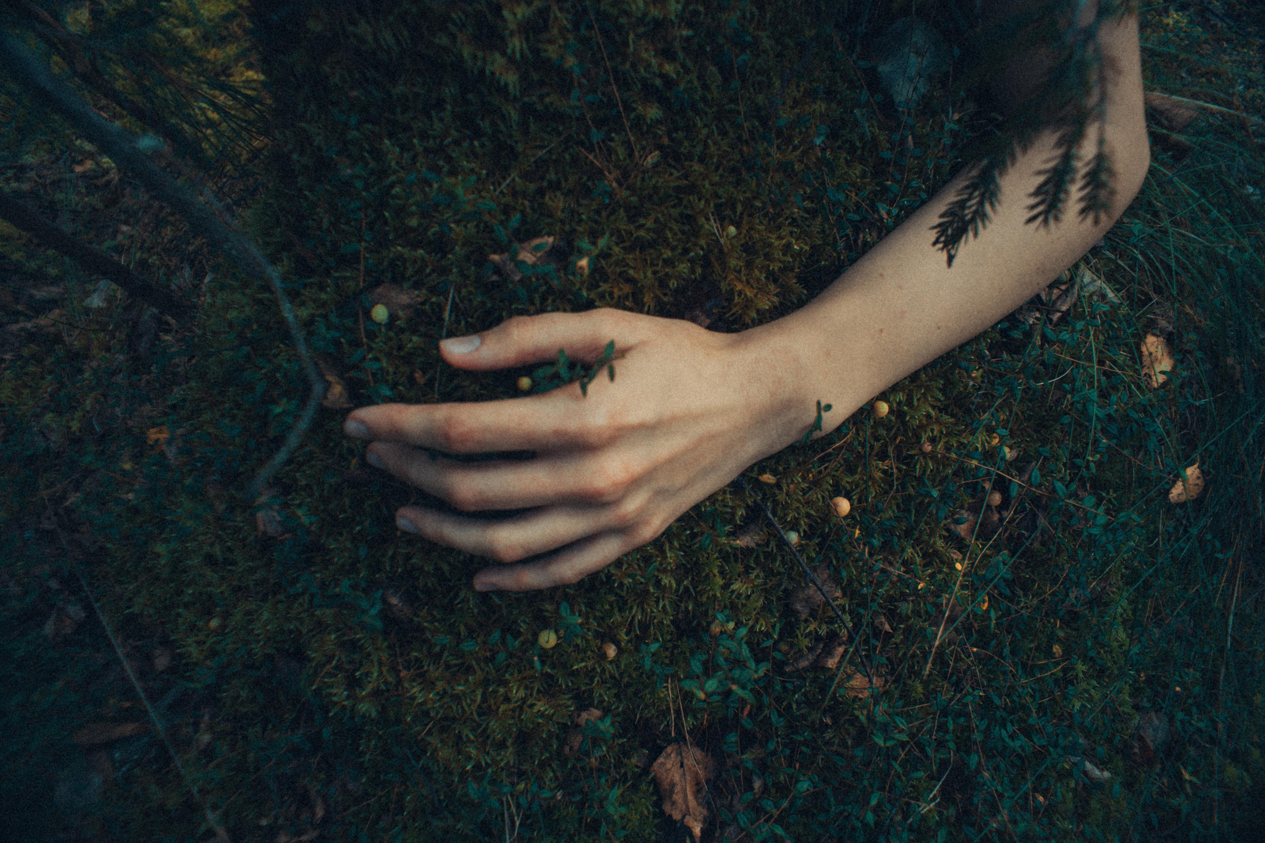 Поглощает — позволь и будь. Алиса Аницкая