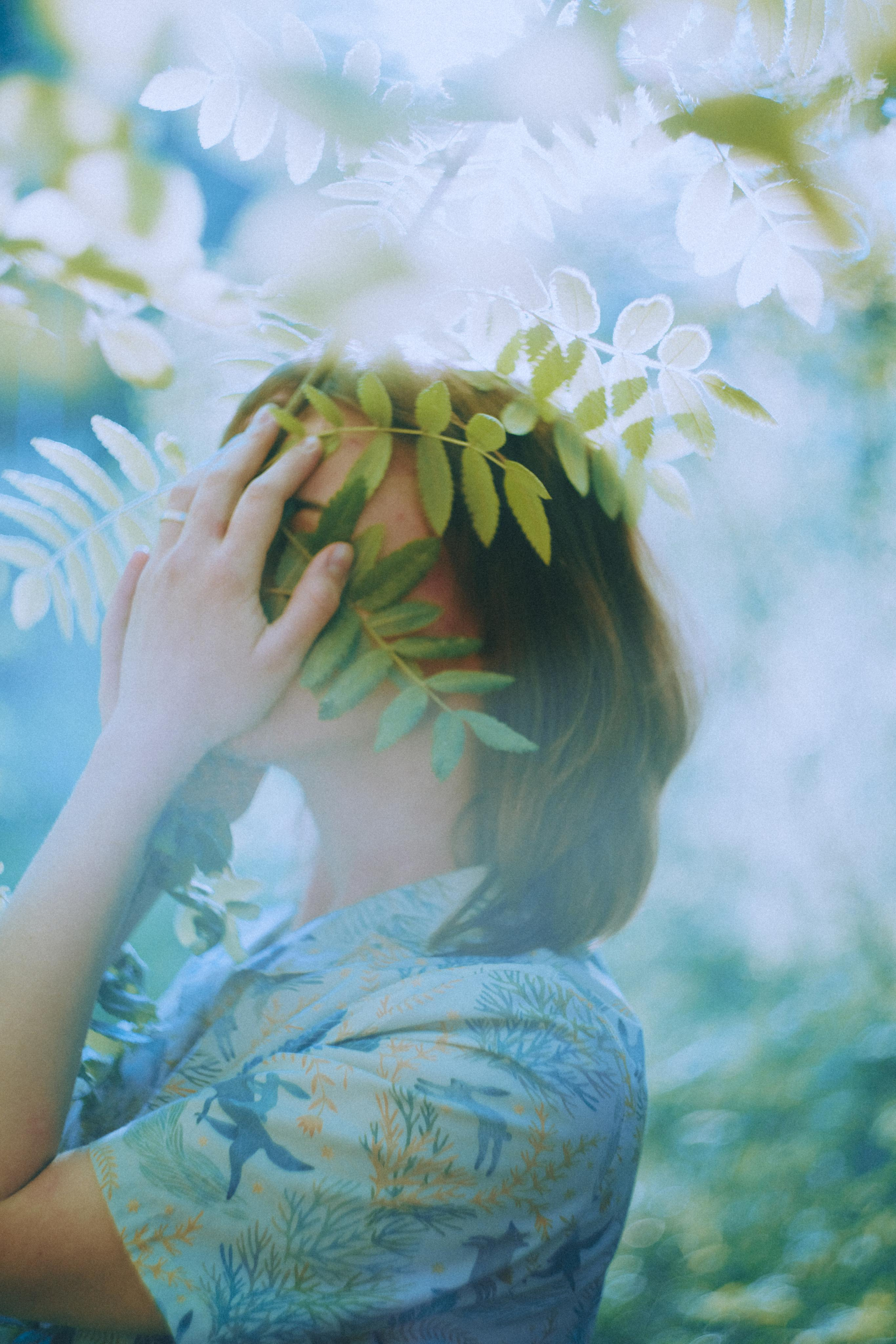 О птицах сказки. Алиса Аницкая