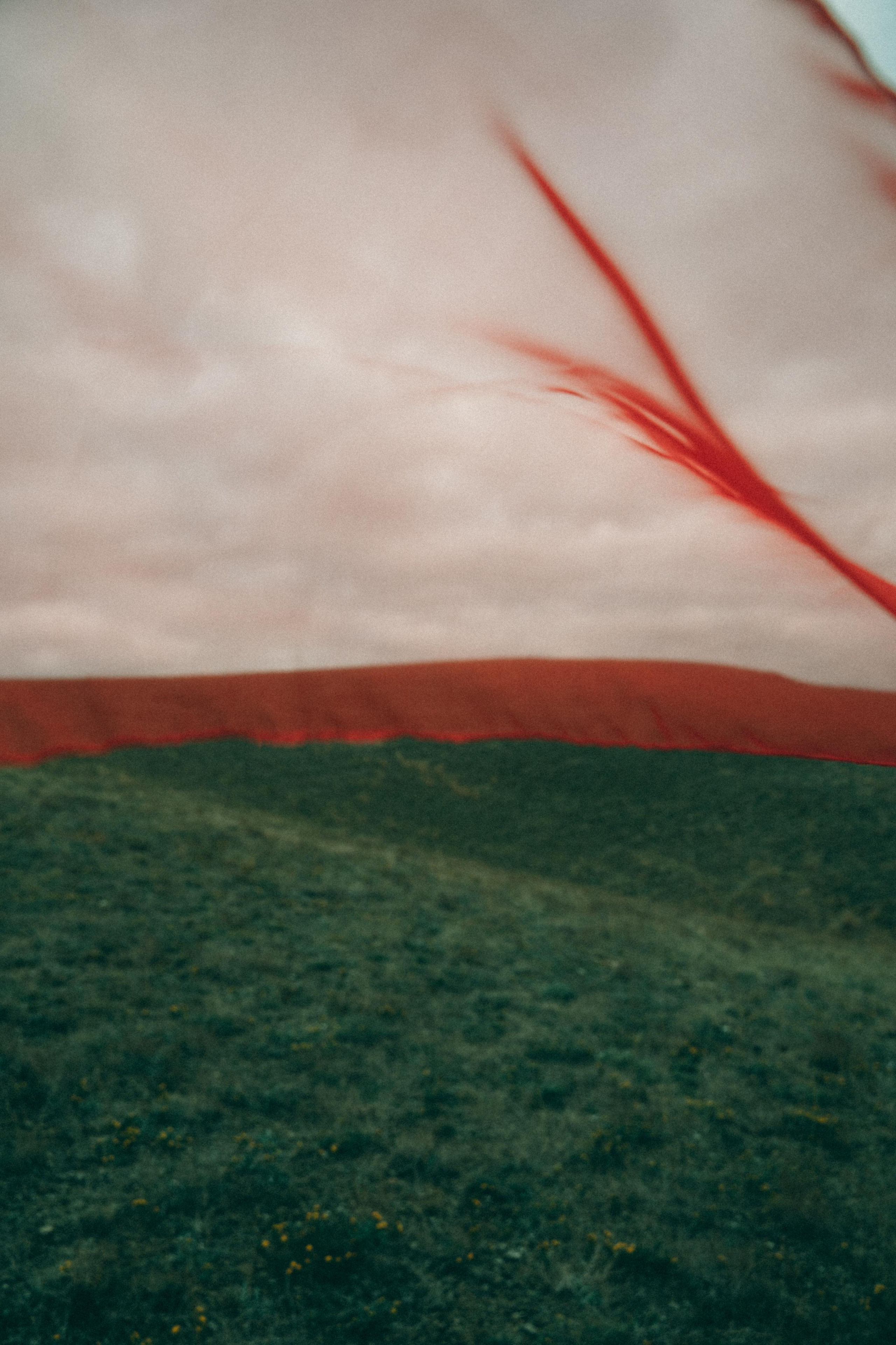 Расскажи мне о своей катастрофе. Алиса Аницкая