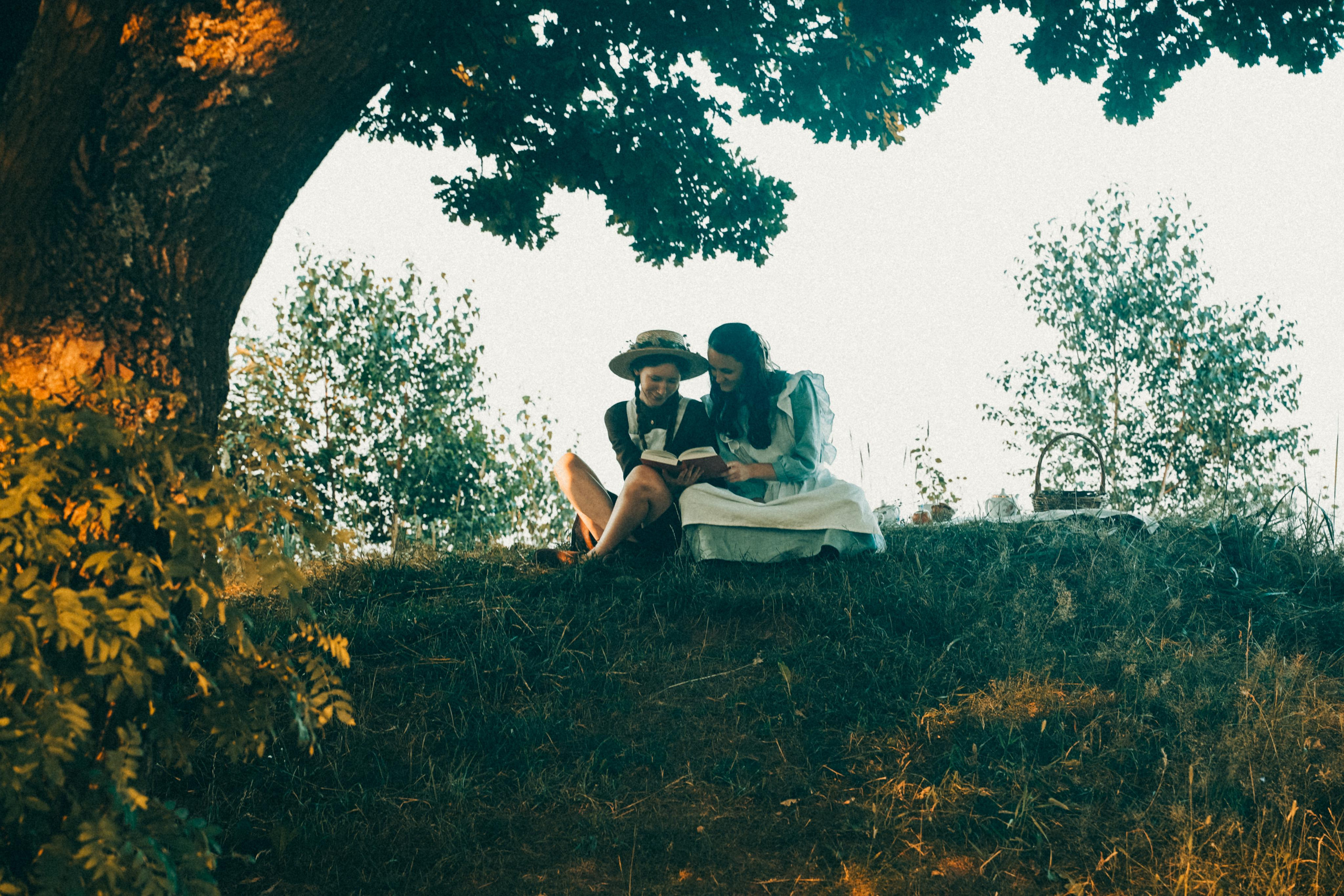 Из зелёных крыш. Алиса Аницкая