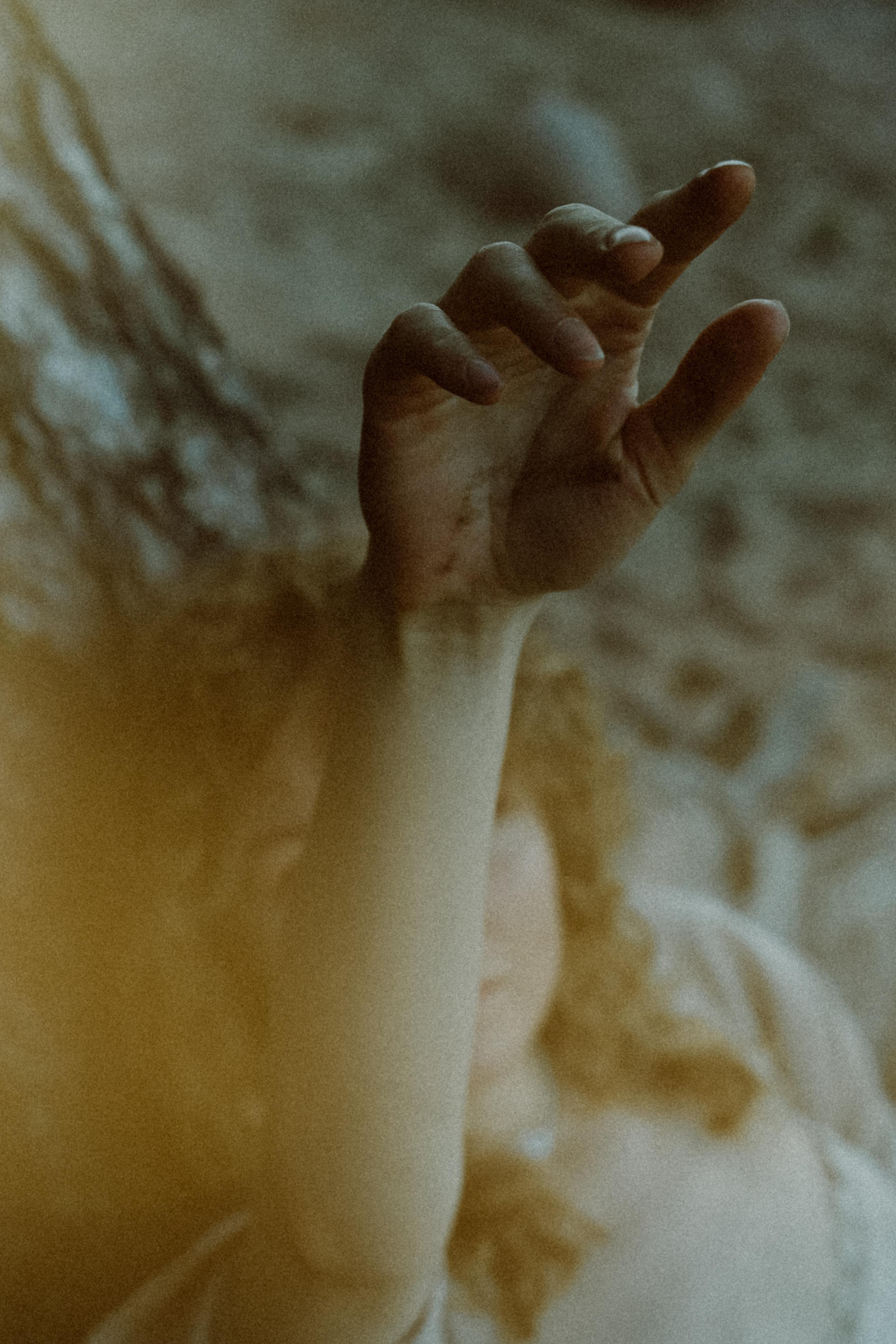 Прилетит и заберёт. Алиса Аницкая