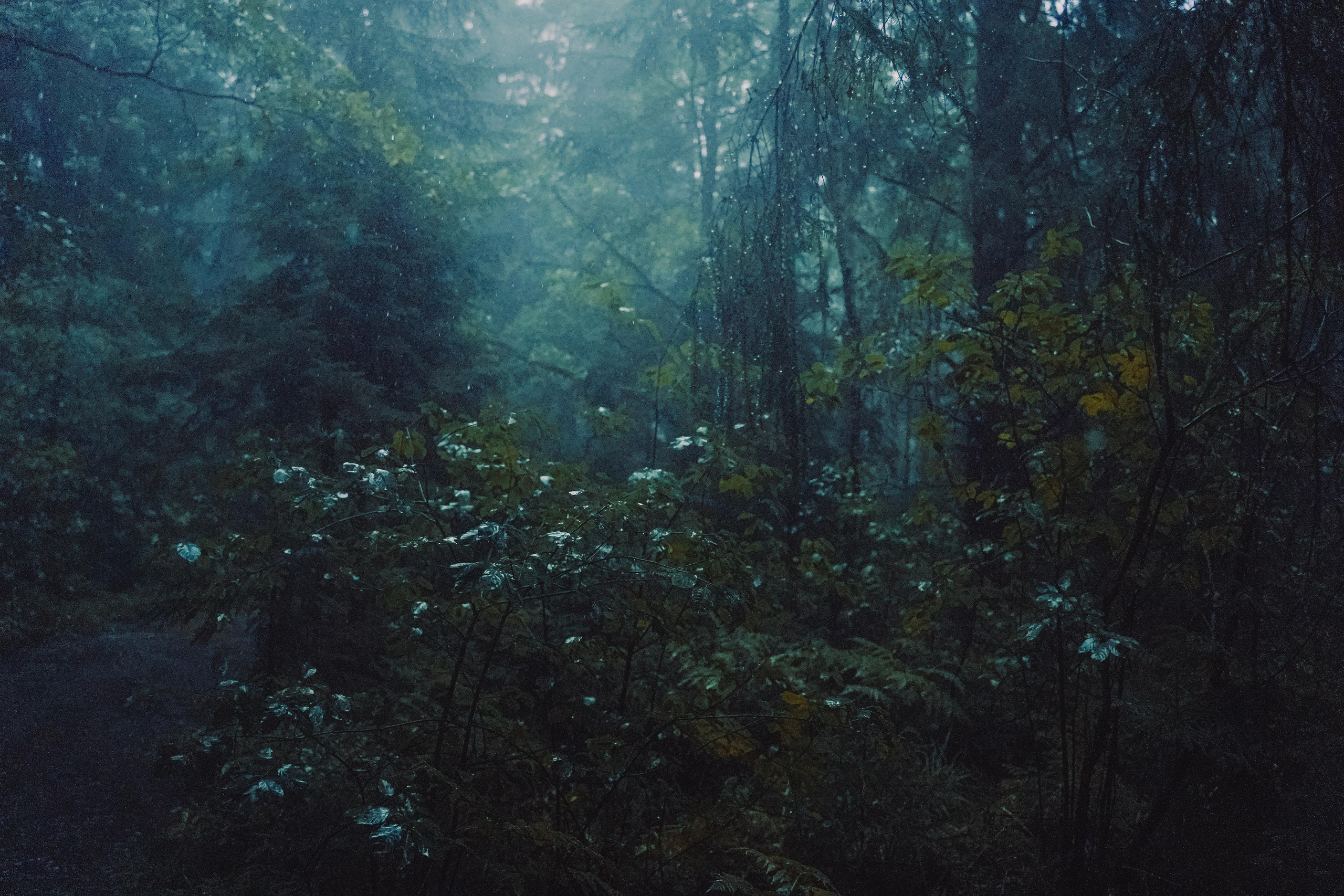 Тишина. Алиса Аницкая