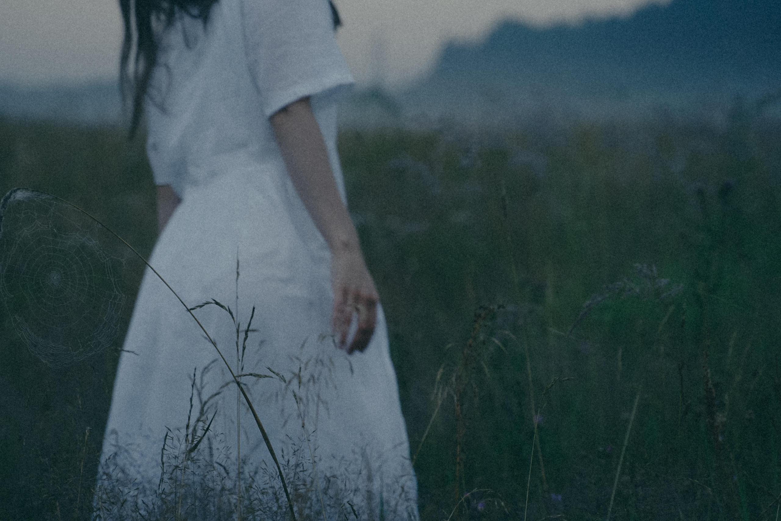 Исчезновение. Алиса Аницкая