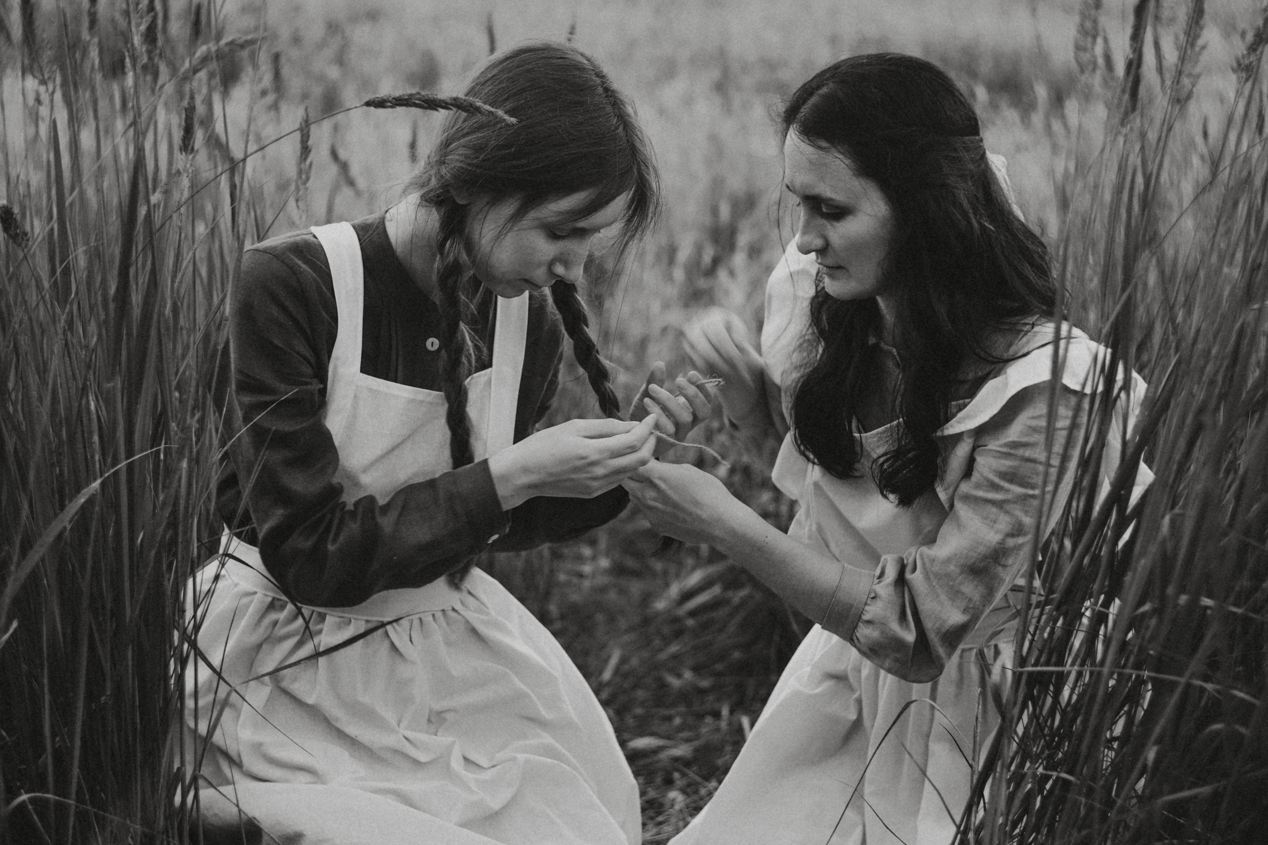 Из зелёных крыш. Алиса Аницкая