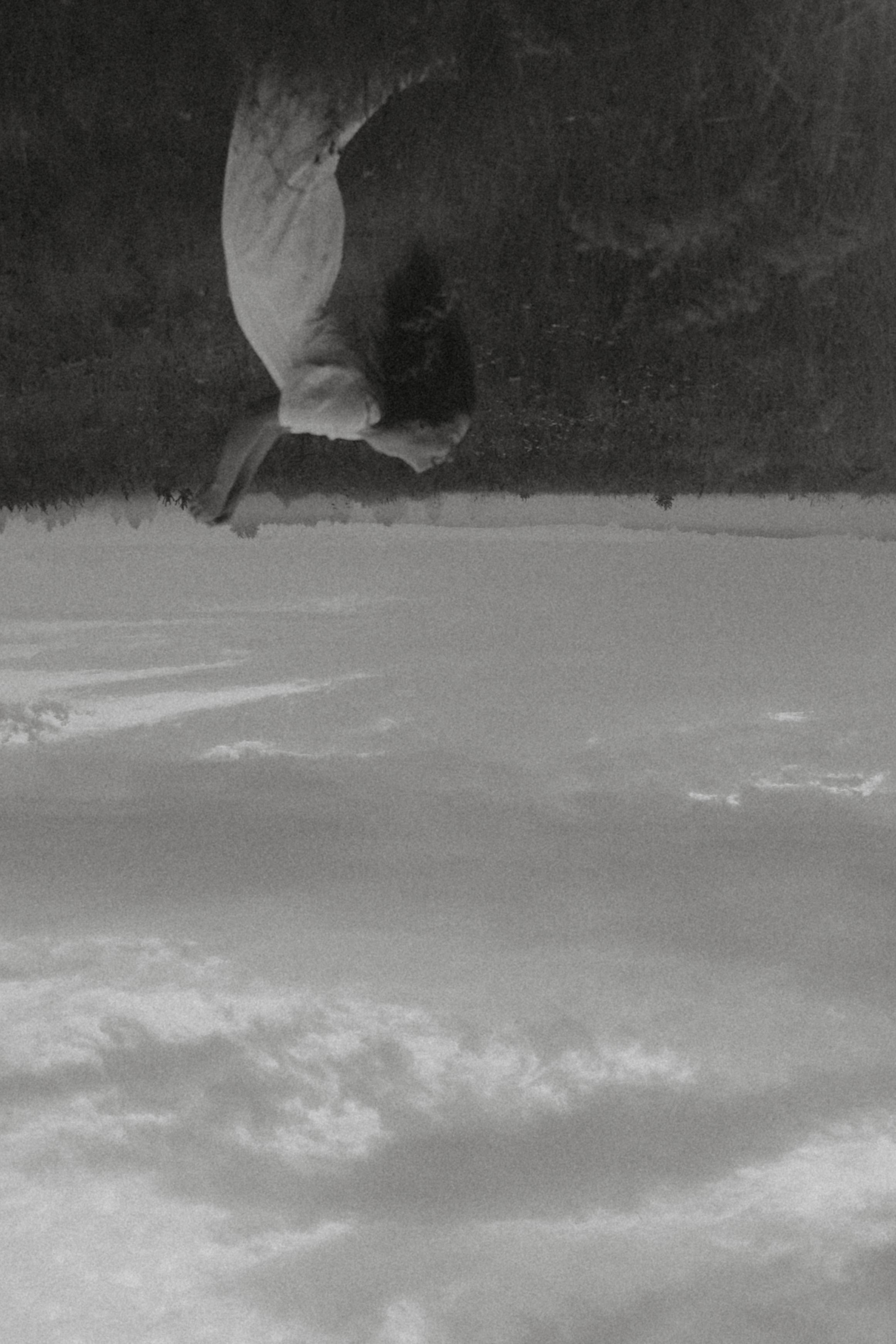 Исчезновение. Алиса Аницкая