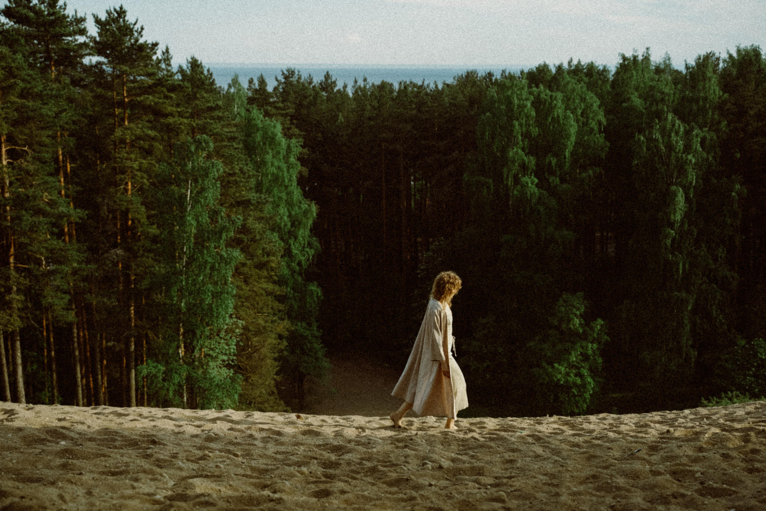 Прилетит и заберёт. Алиса Аницкая