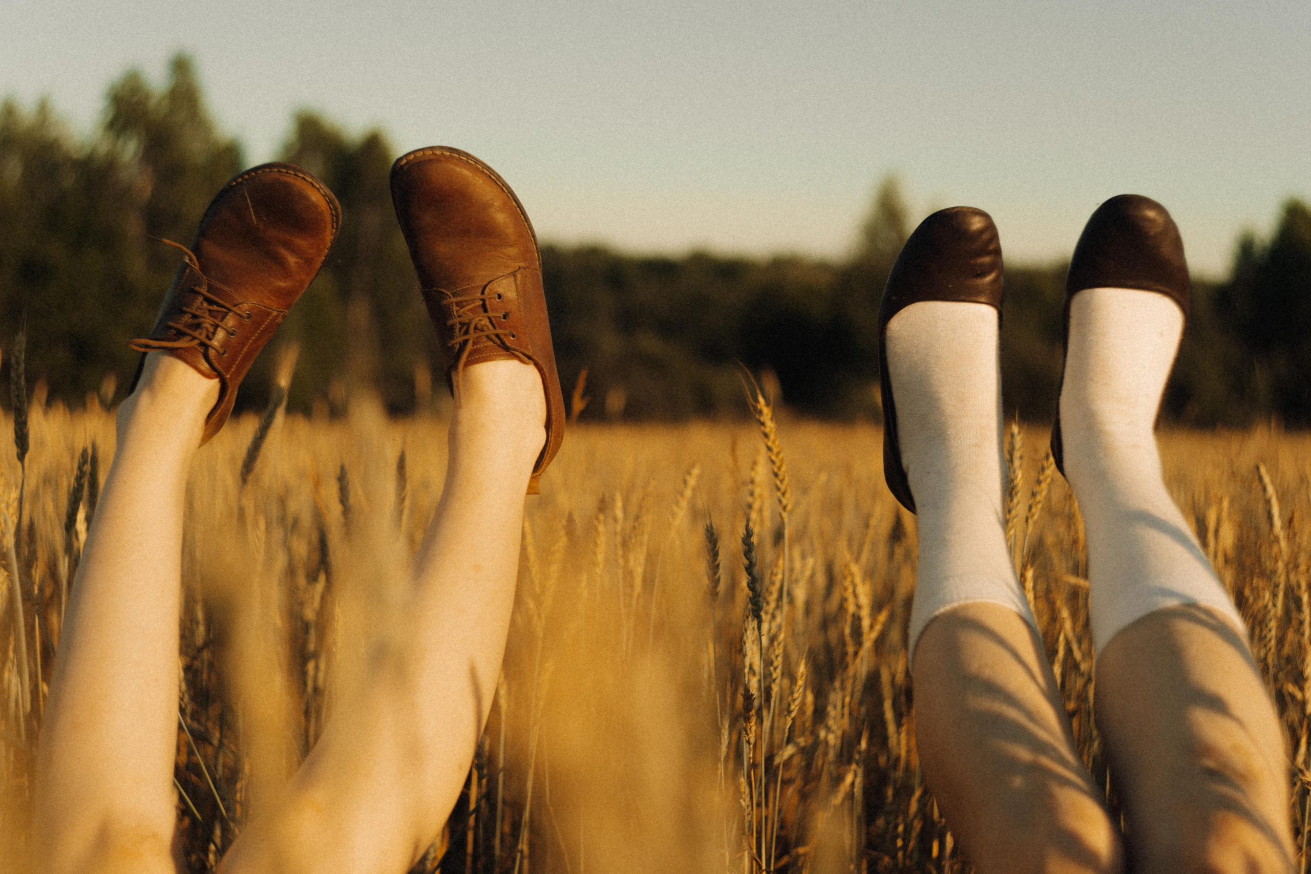 Из зелёных крыш. Алиса Аницкая