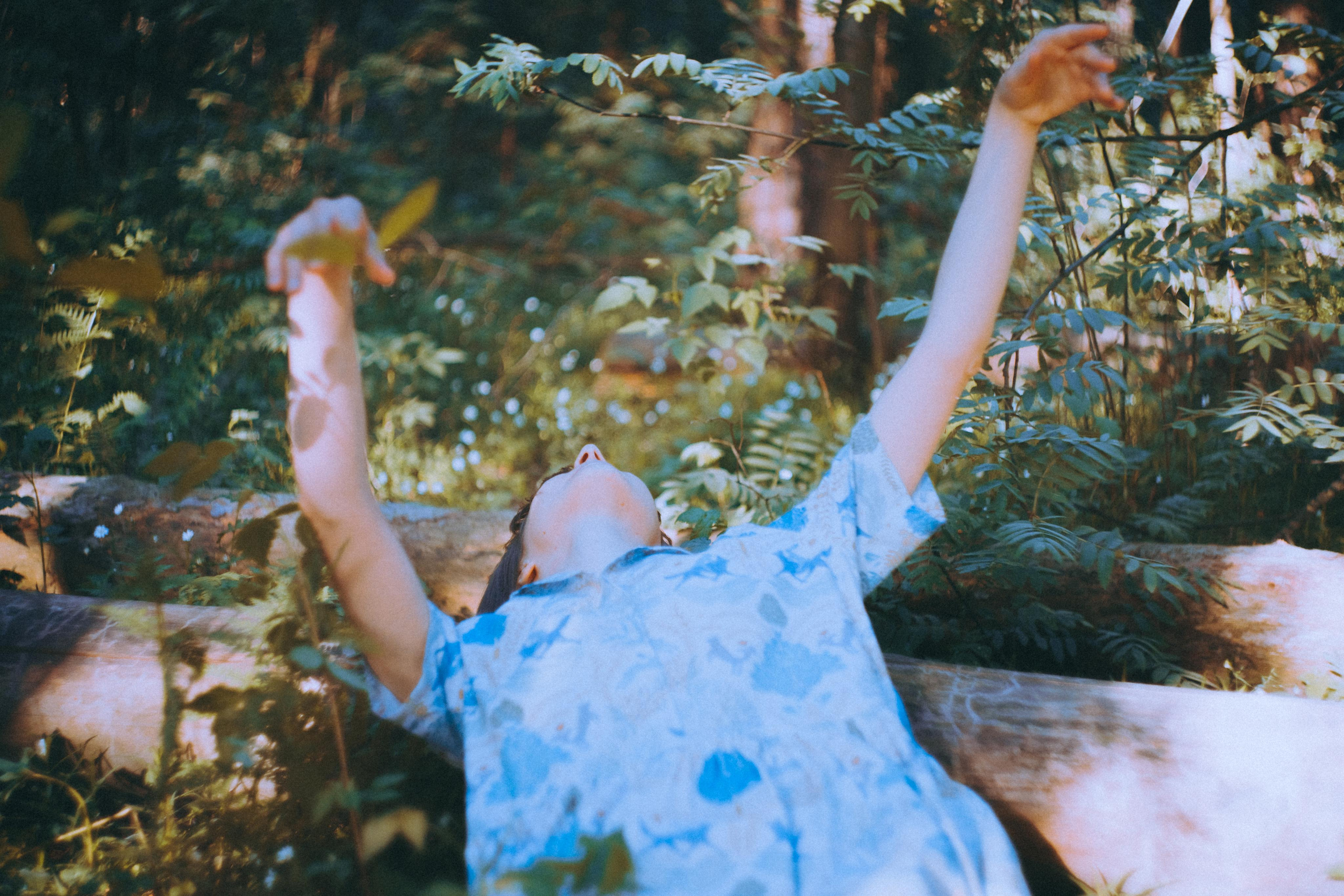 О птицах сказки. Алиса Аницкая