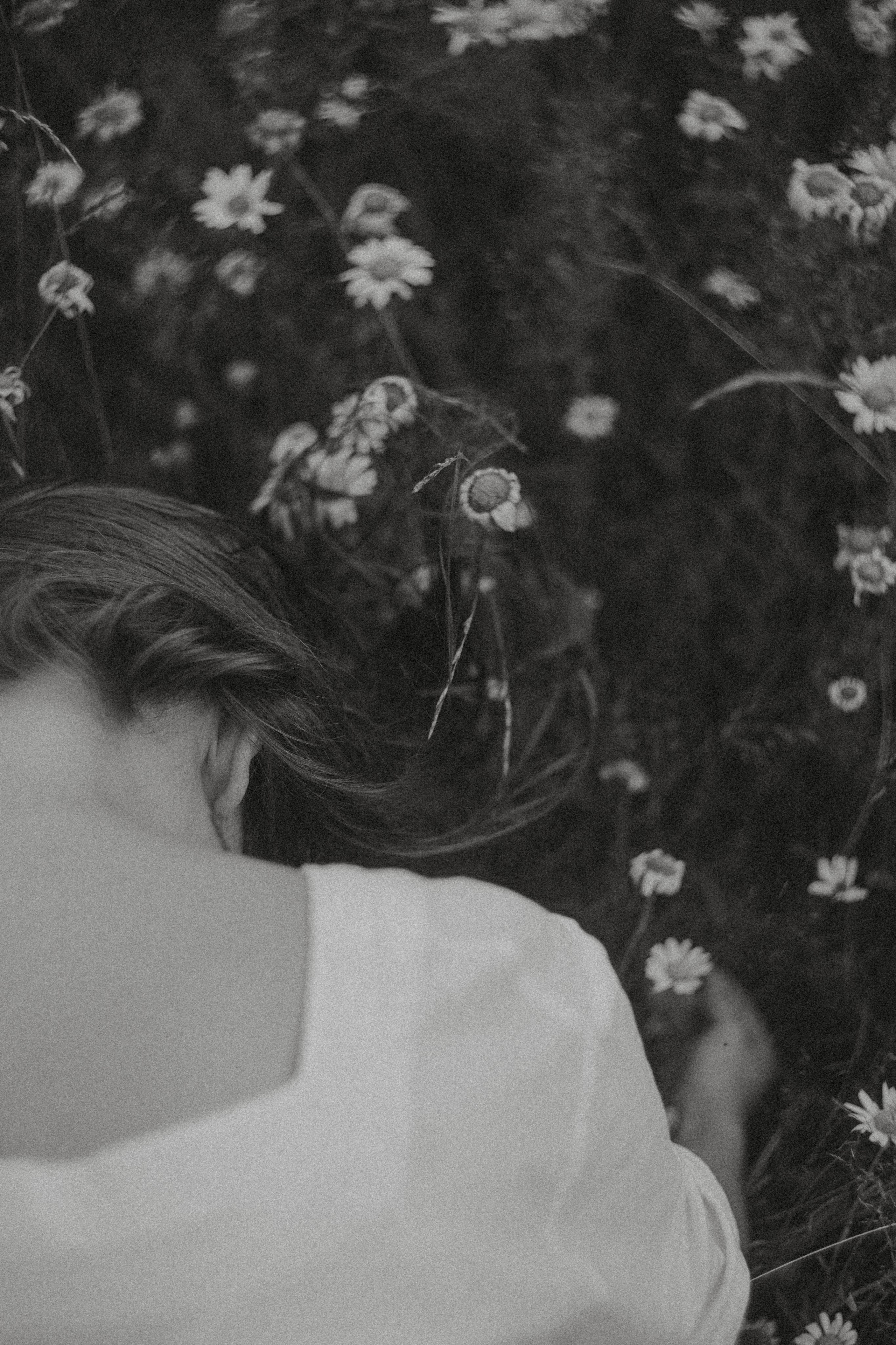 Исчезновение. Алиса Аницкая