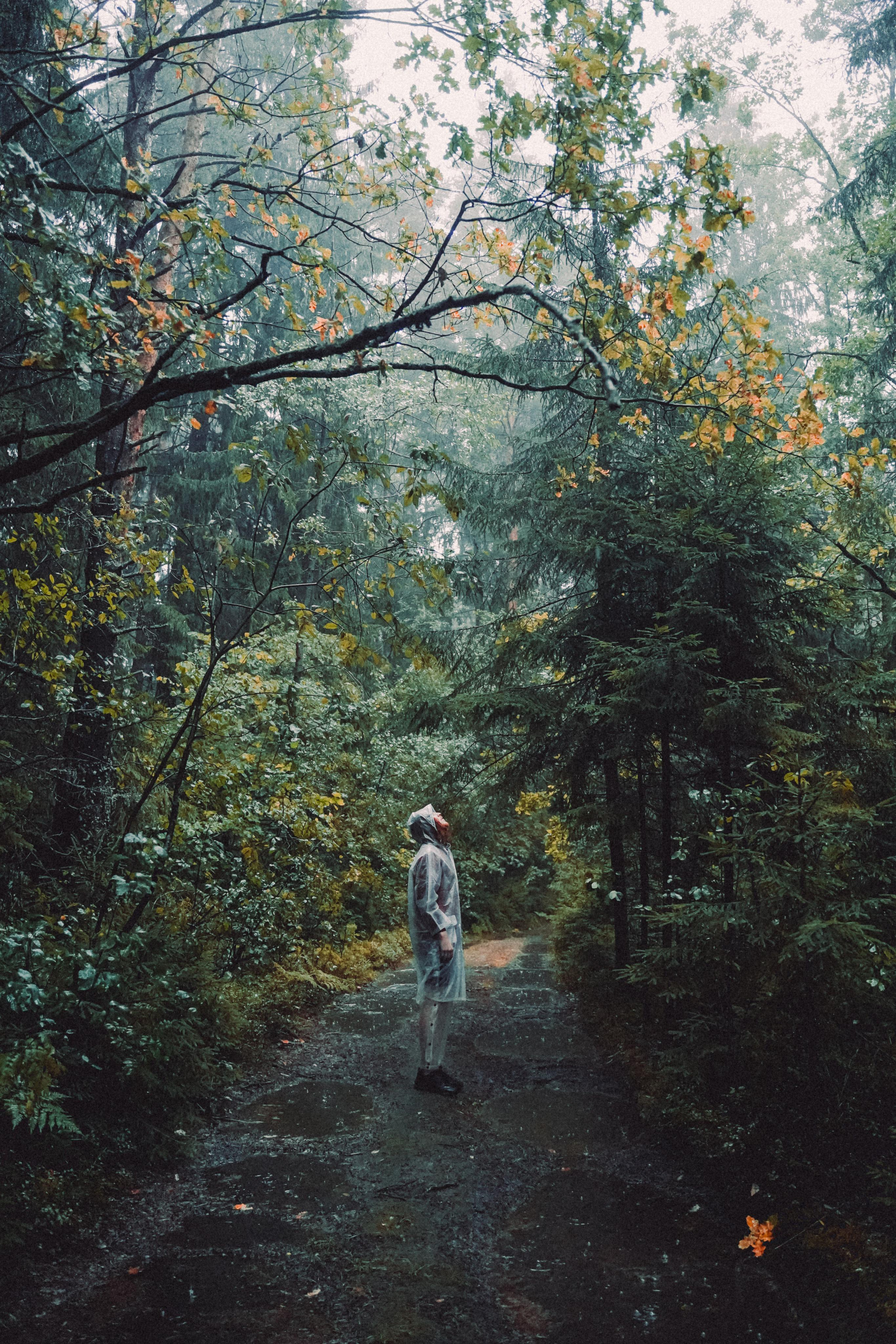 Тишина. Алиса Аницкая