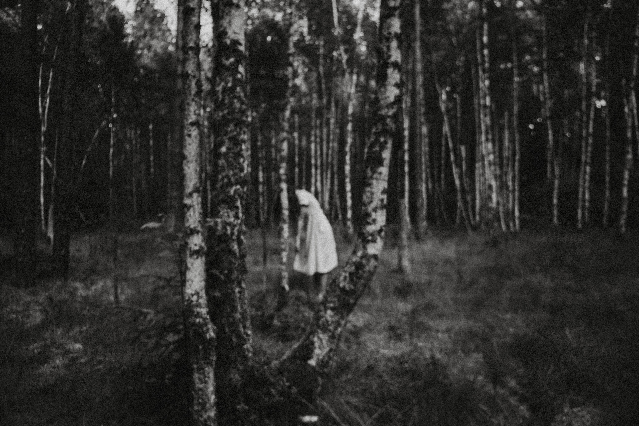 Поглощает — позволь и будь. Алиса Аницкая