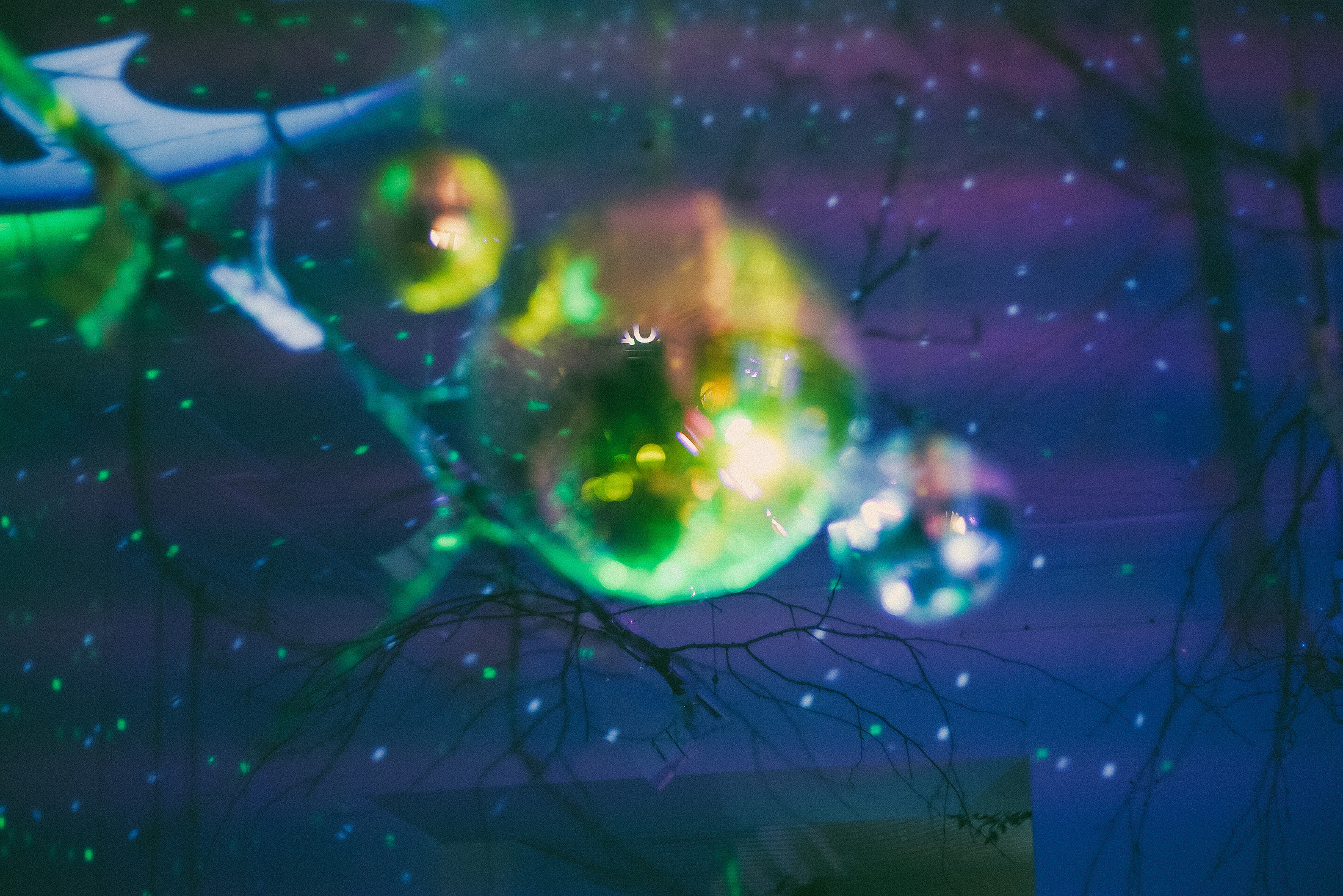 выставка Алисы Аницкой  Смоленск фотограф Кафе Юность Лес природа фотографии портретная съёмка Смоленск