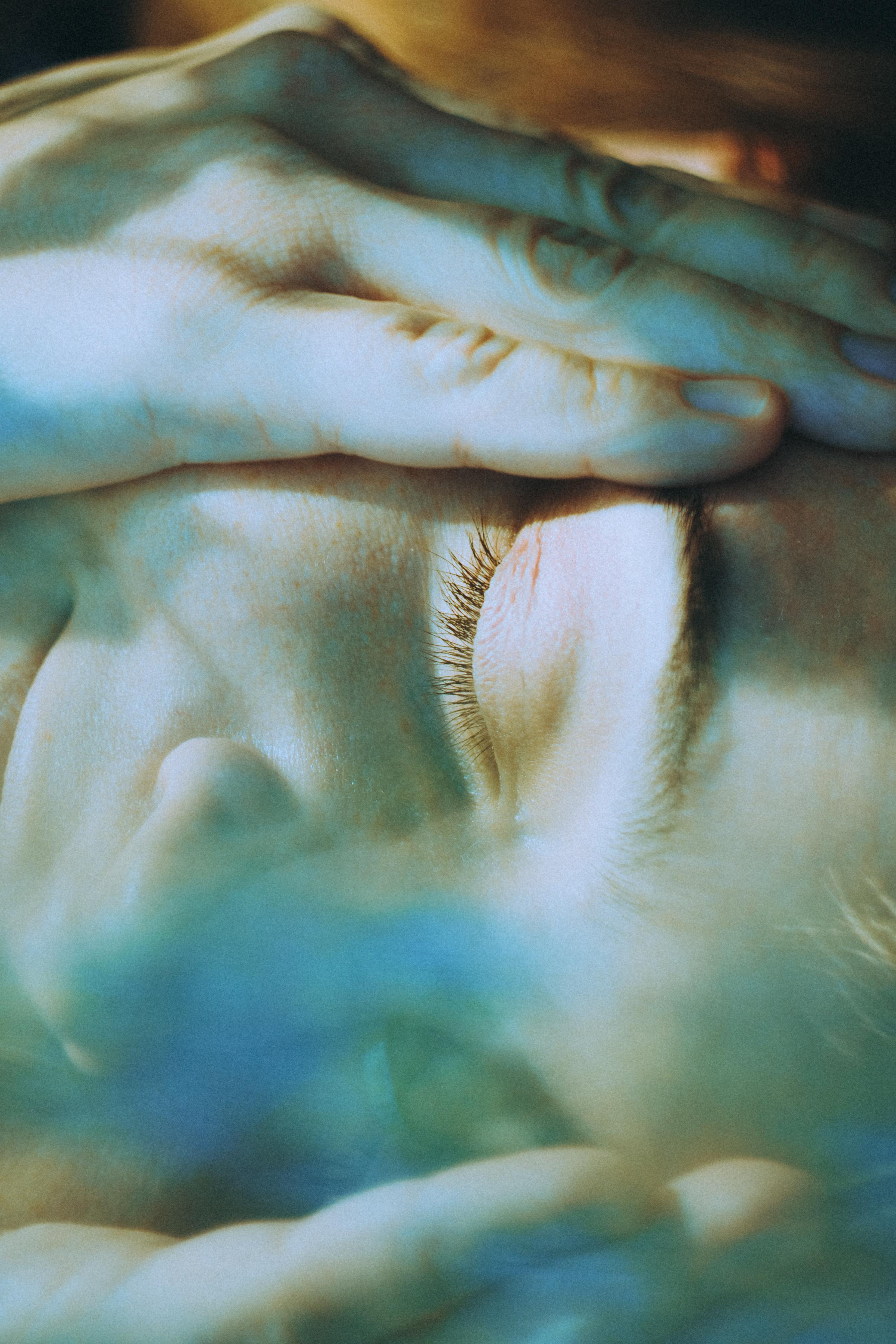 О птицах сказки. Алиса Аницкая