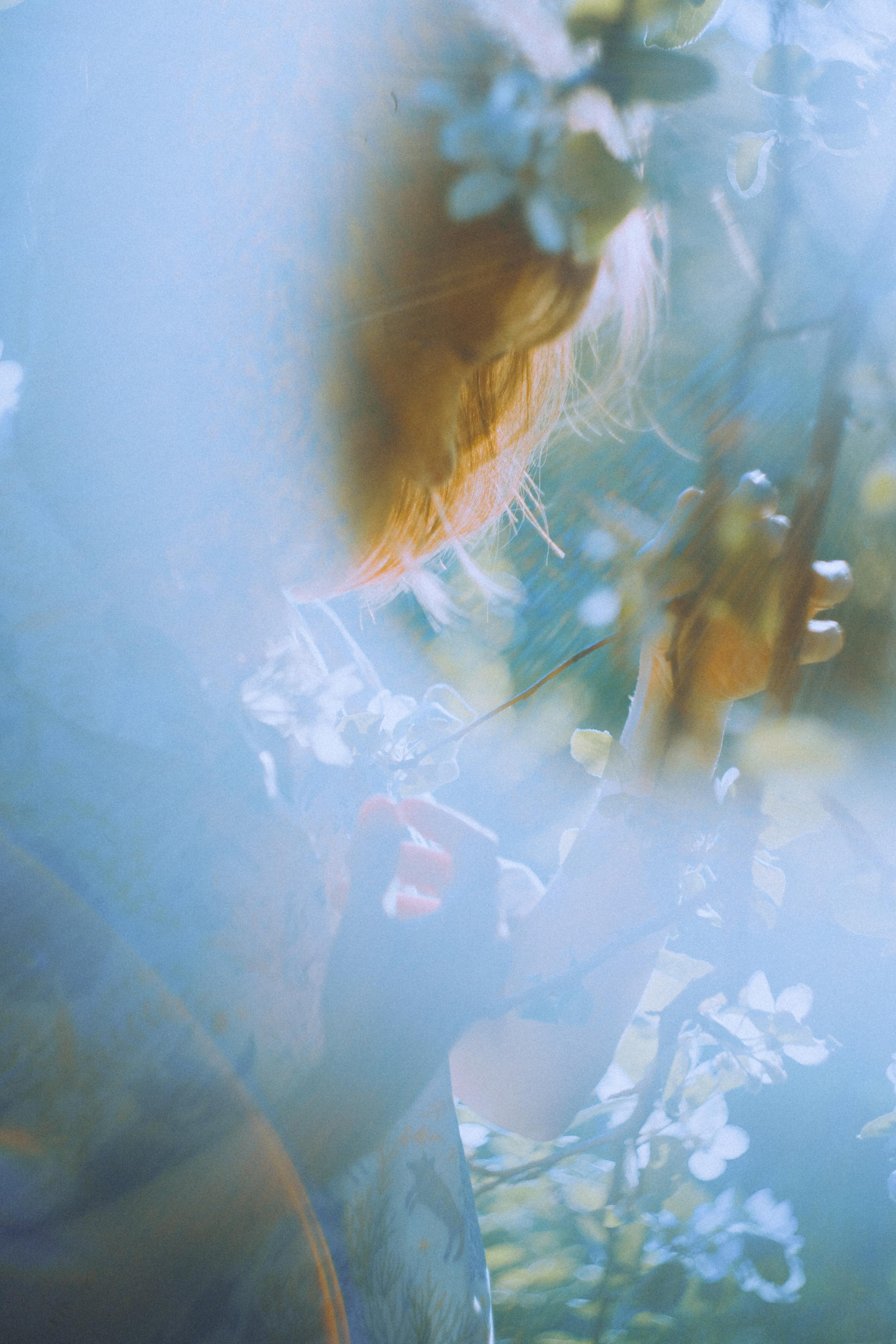 О птицах сказки. Алиса Аницкая