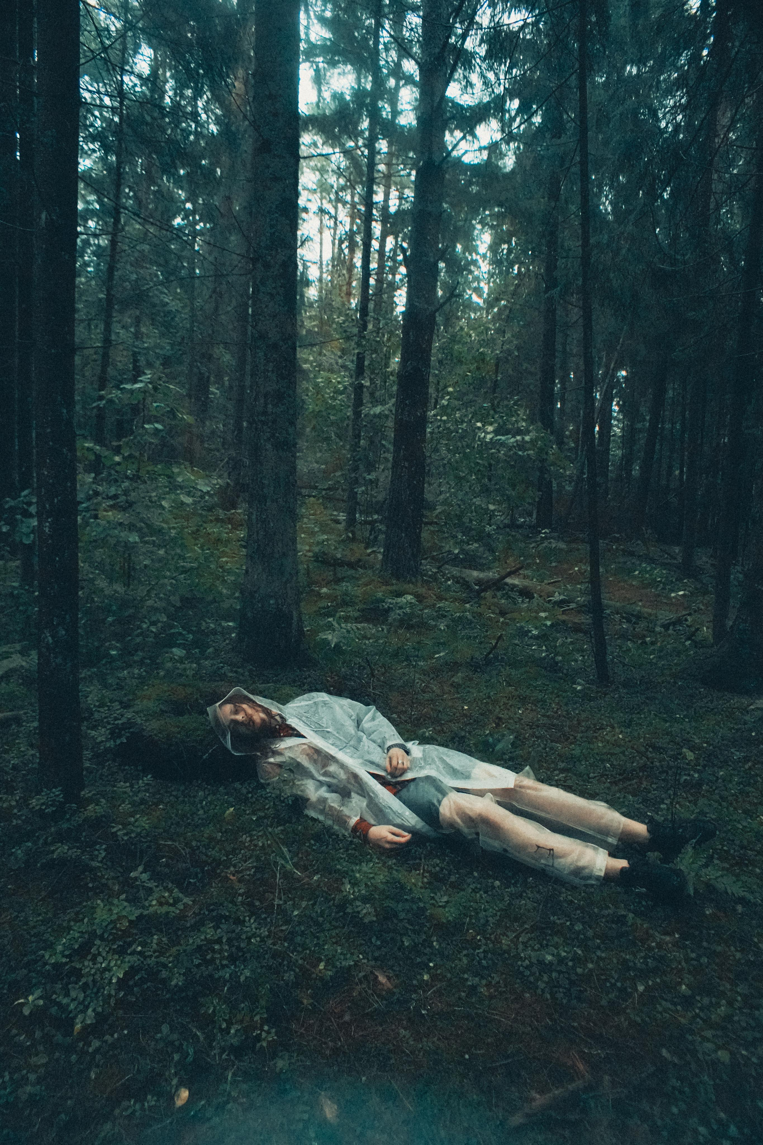 Тишина. Алиса Аницкая