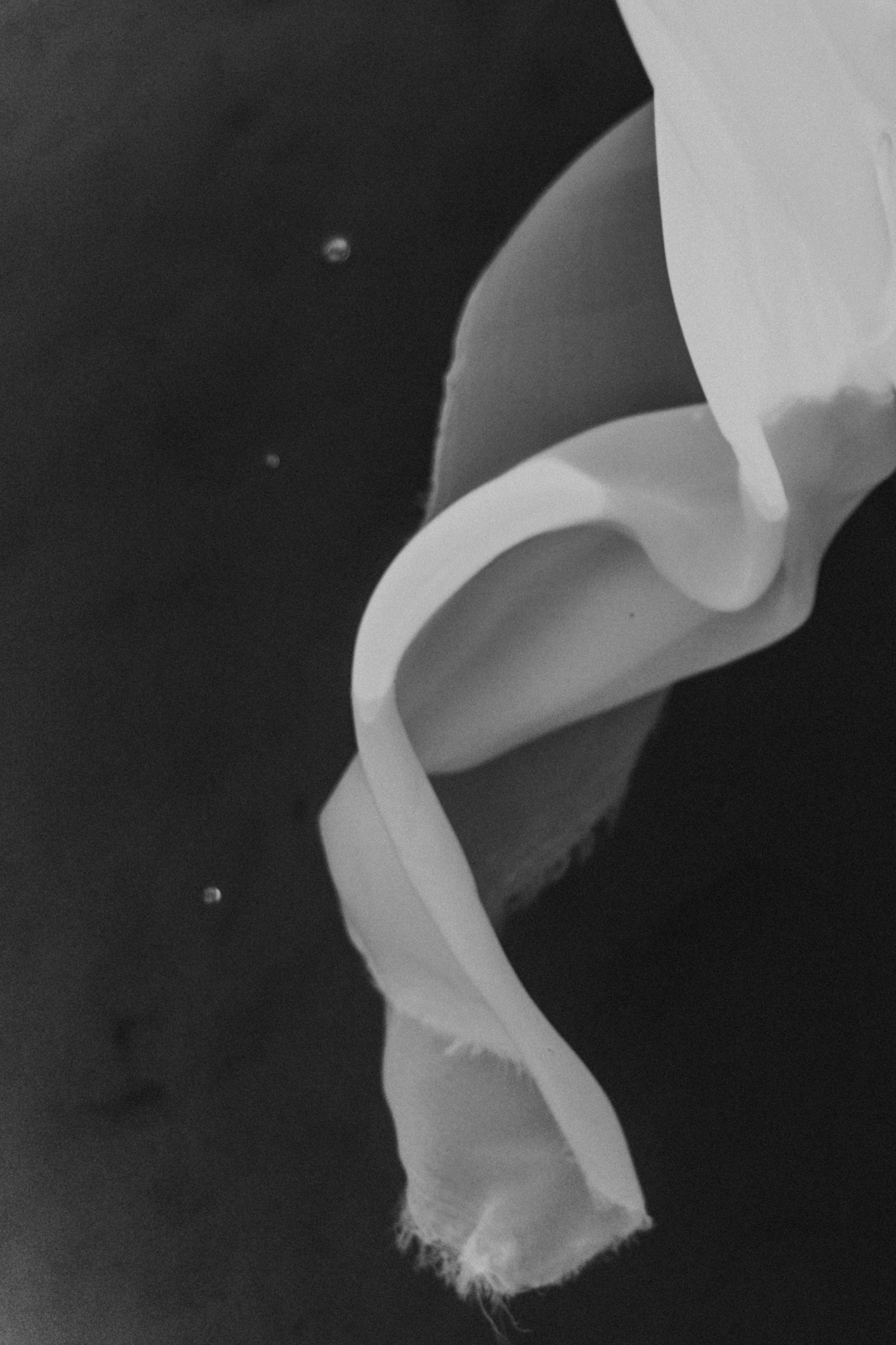 Инфернальное море. Алиса Аницкая