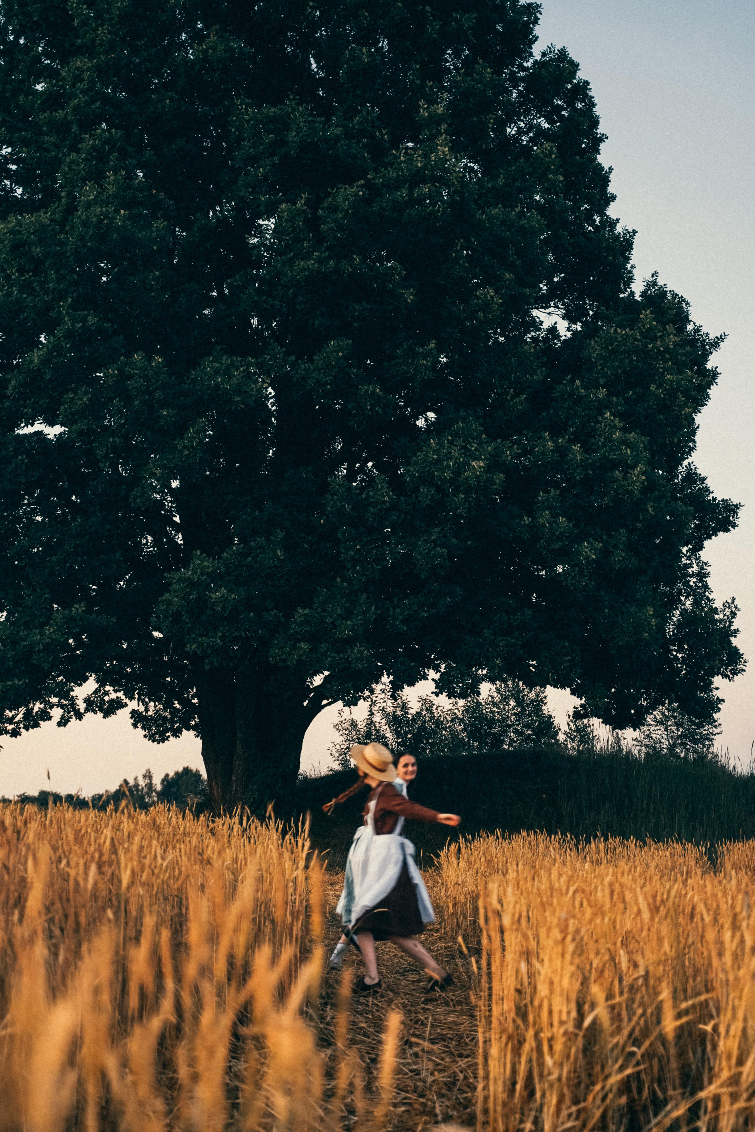 Из зелёных крыш. Алиса Аницкая