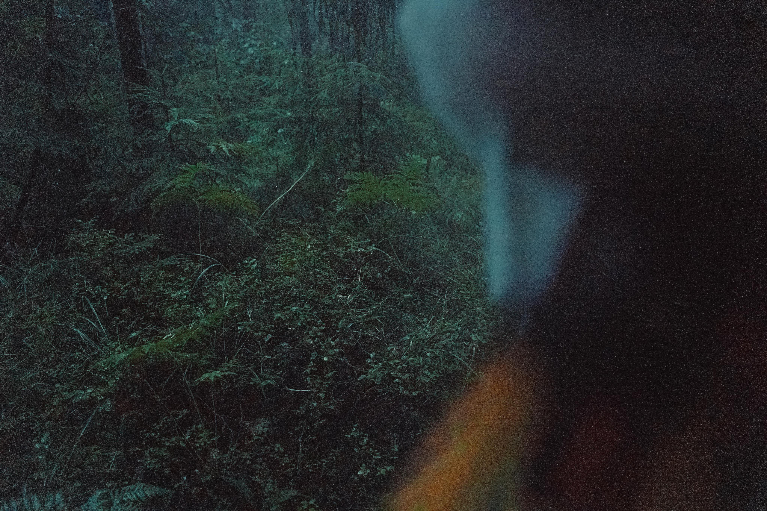 Тишина. Алиса Аницкая