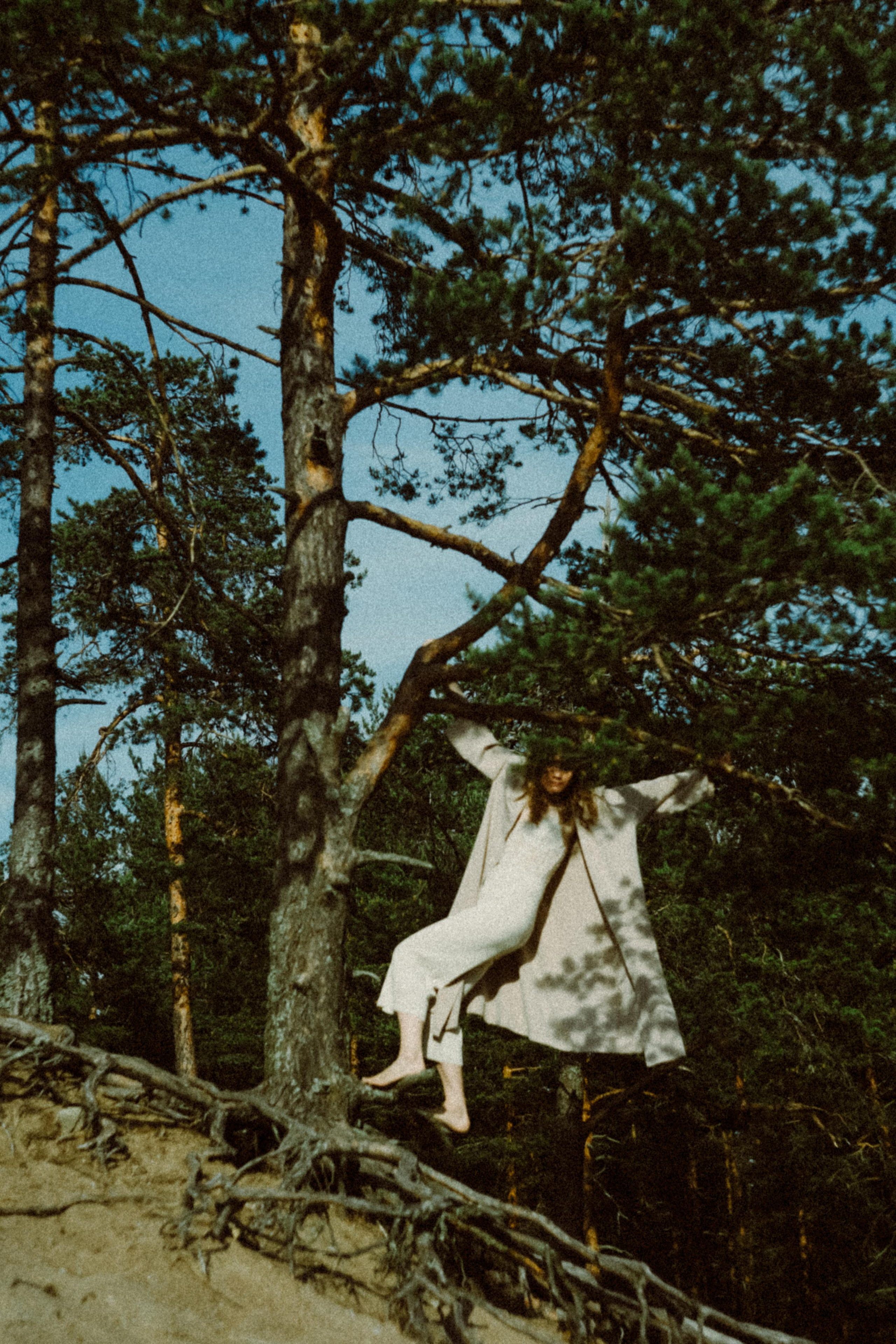 Прилетит и заберёт. Алиса Аницкая