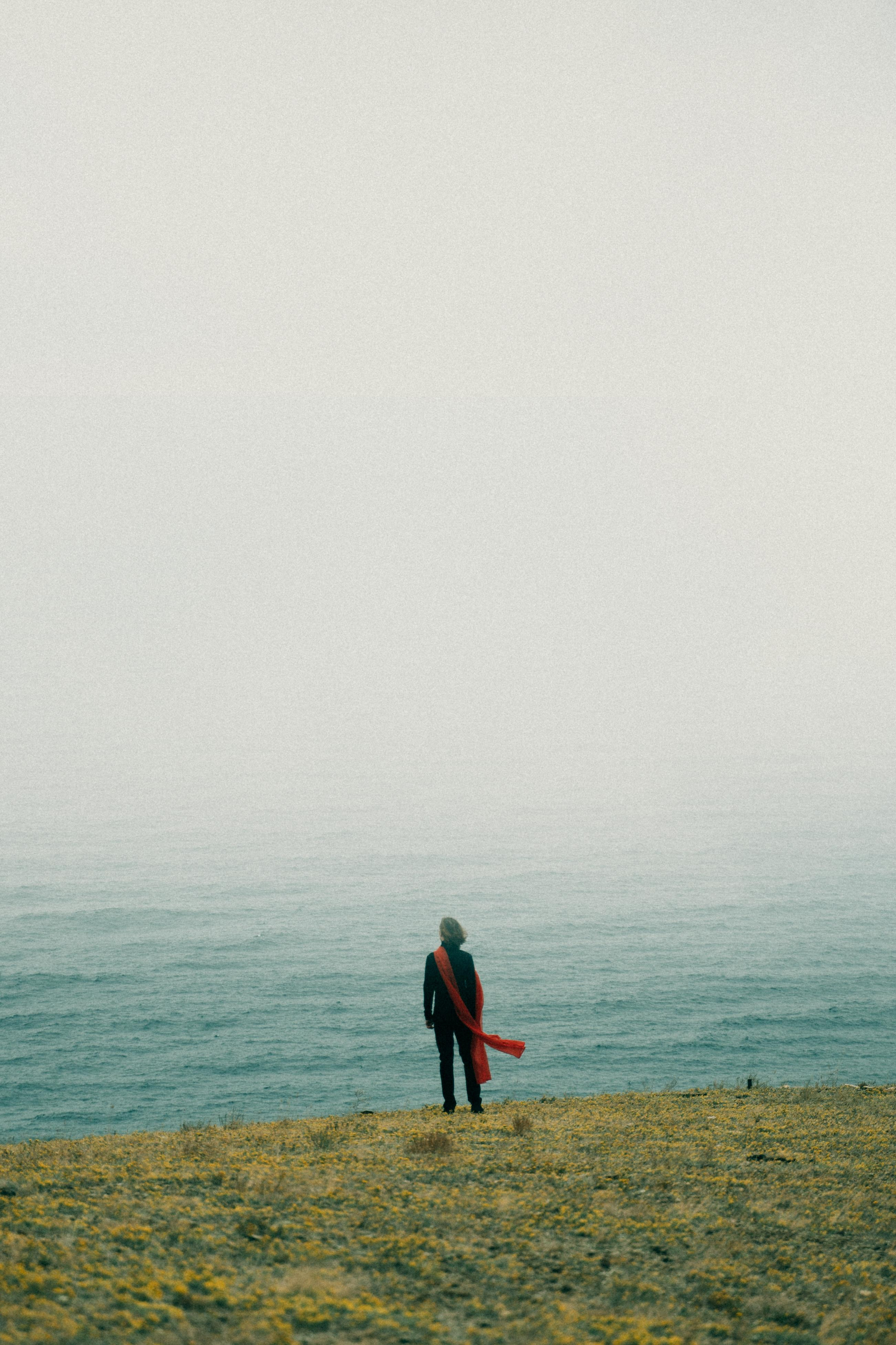 Расскажи мне о своей катастрофе. Алиса Аницкая