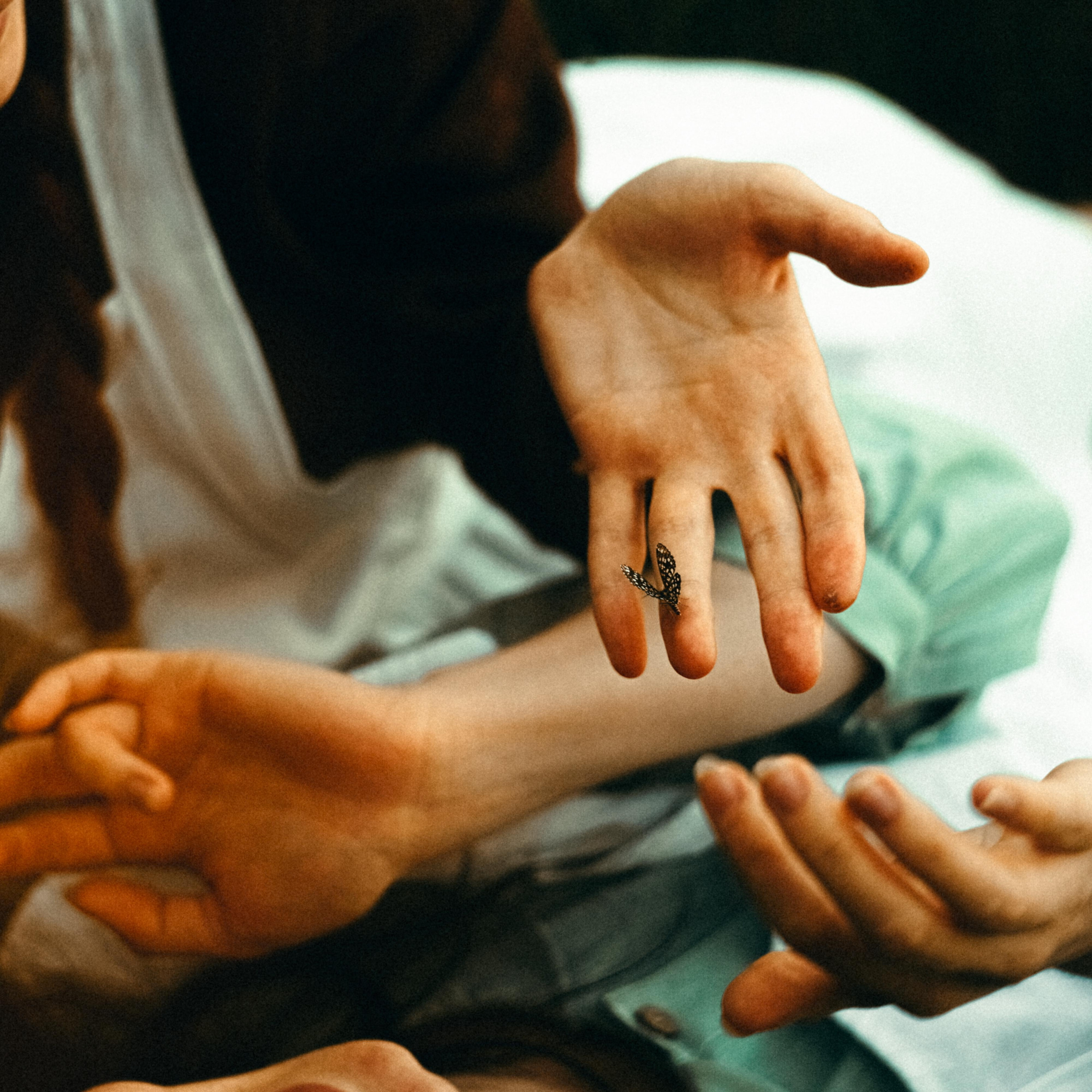 Из зелёных крыш. Алиса Аницкая