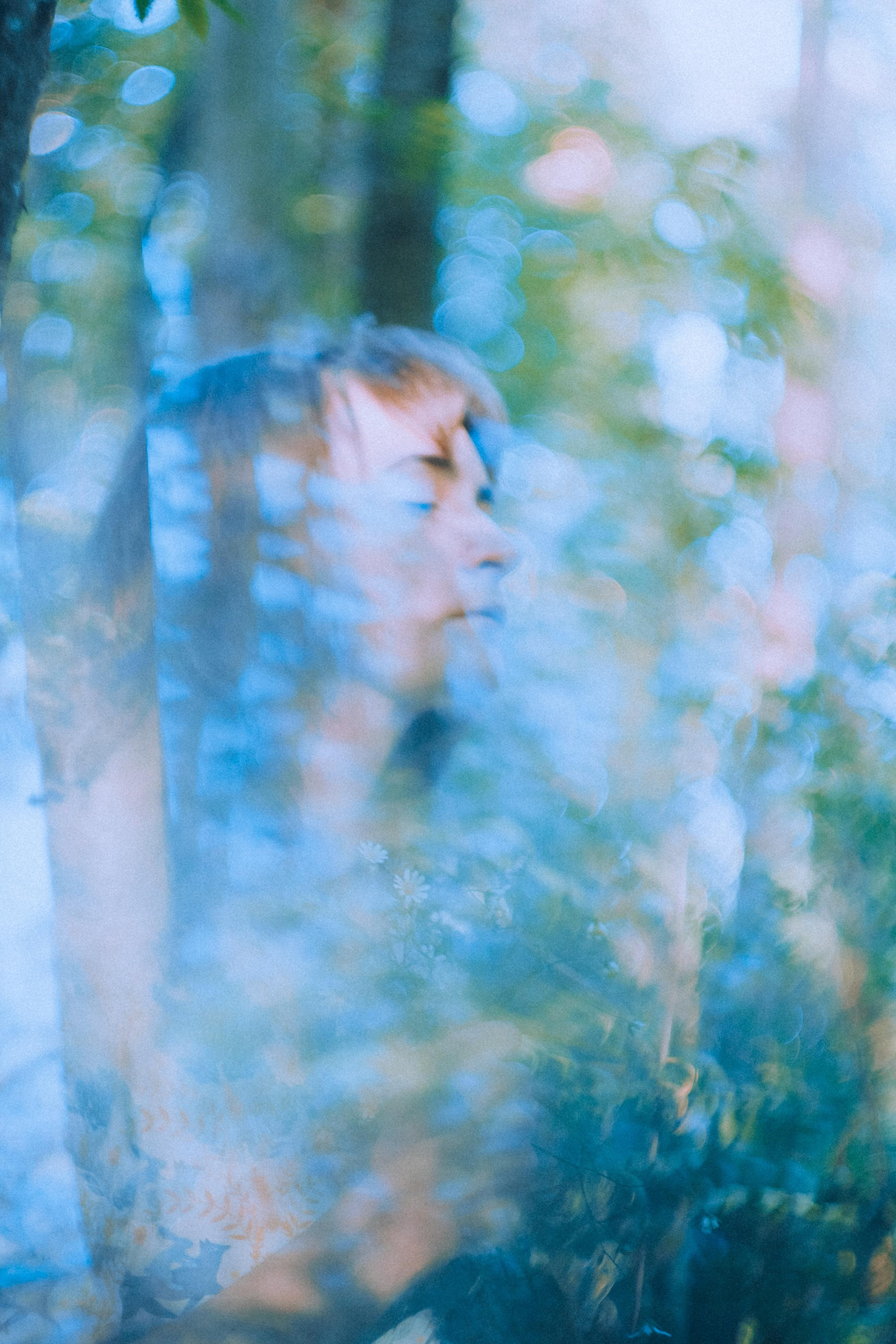 О птицах сказки. Алиса Аницкая