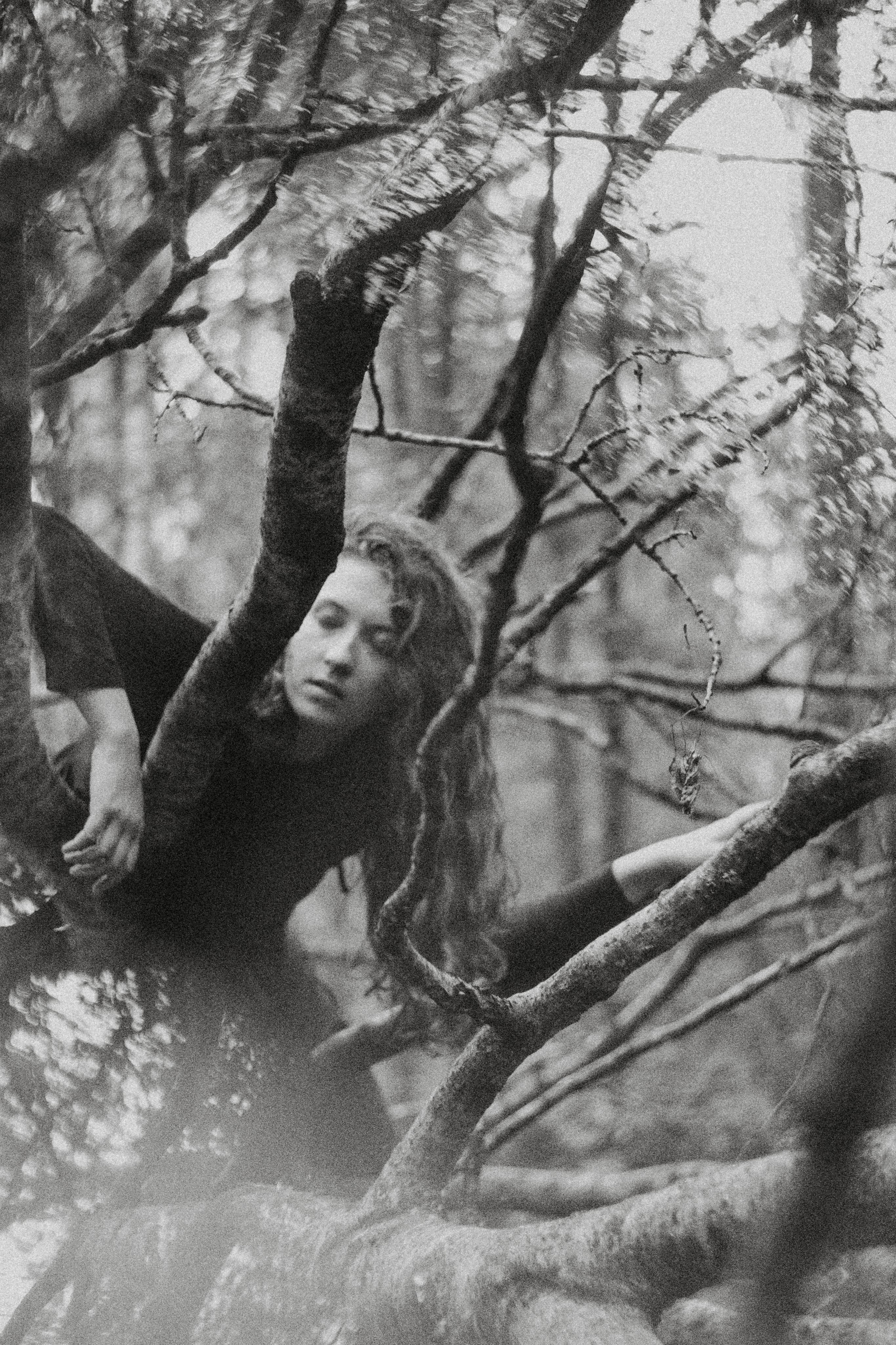 Над соснами. Алиса Аницкая